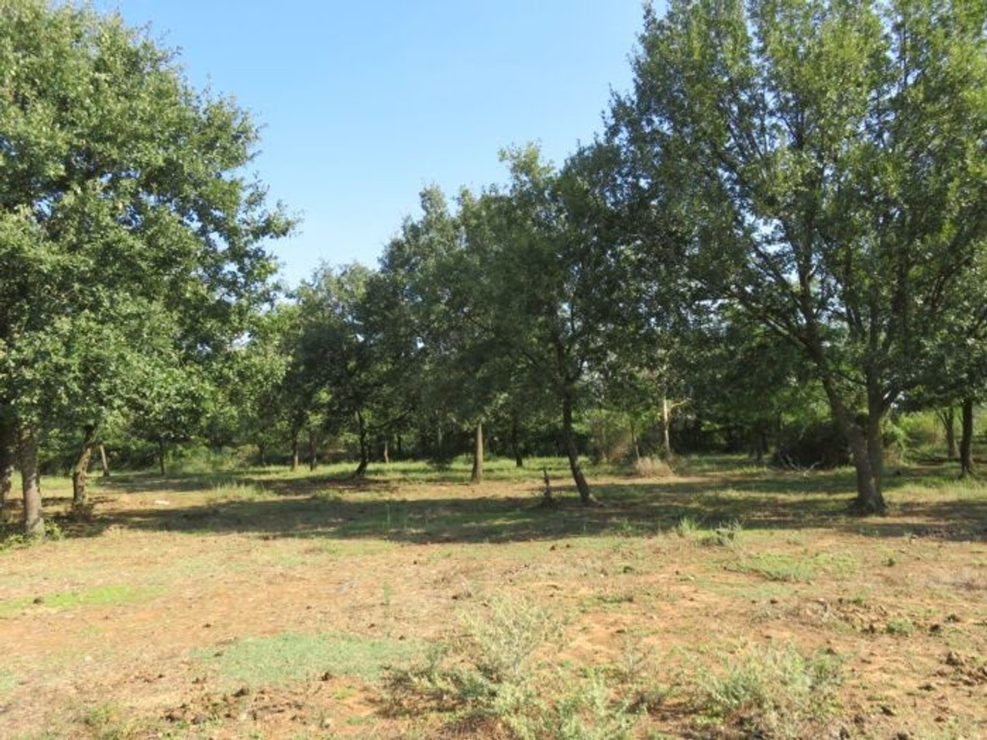 Terrain 273 m²