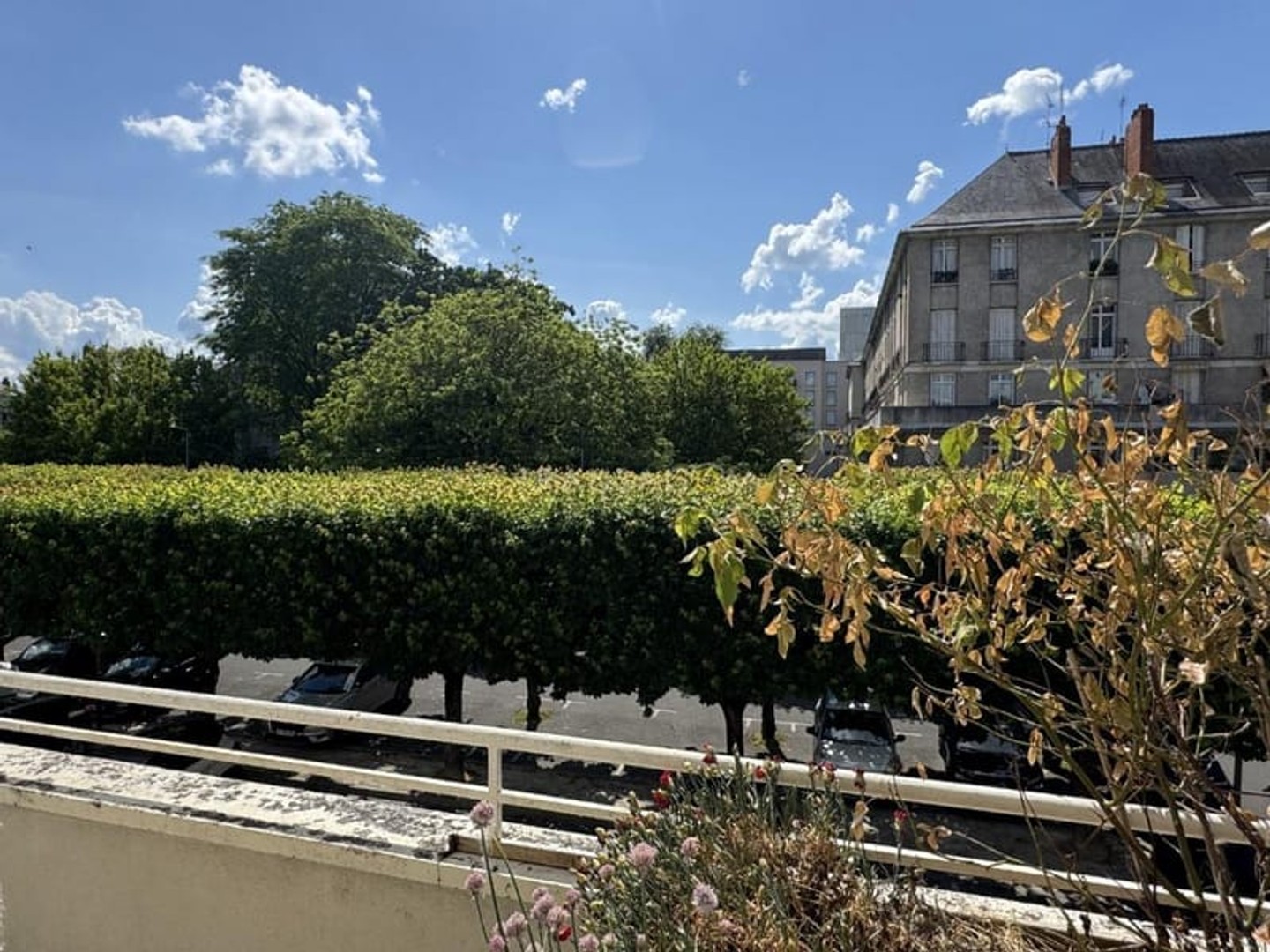 Appartement 1 pièce 75 m²