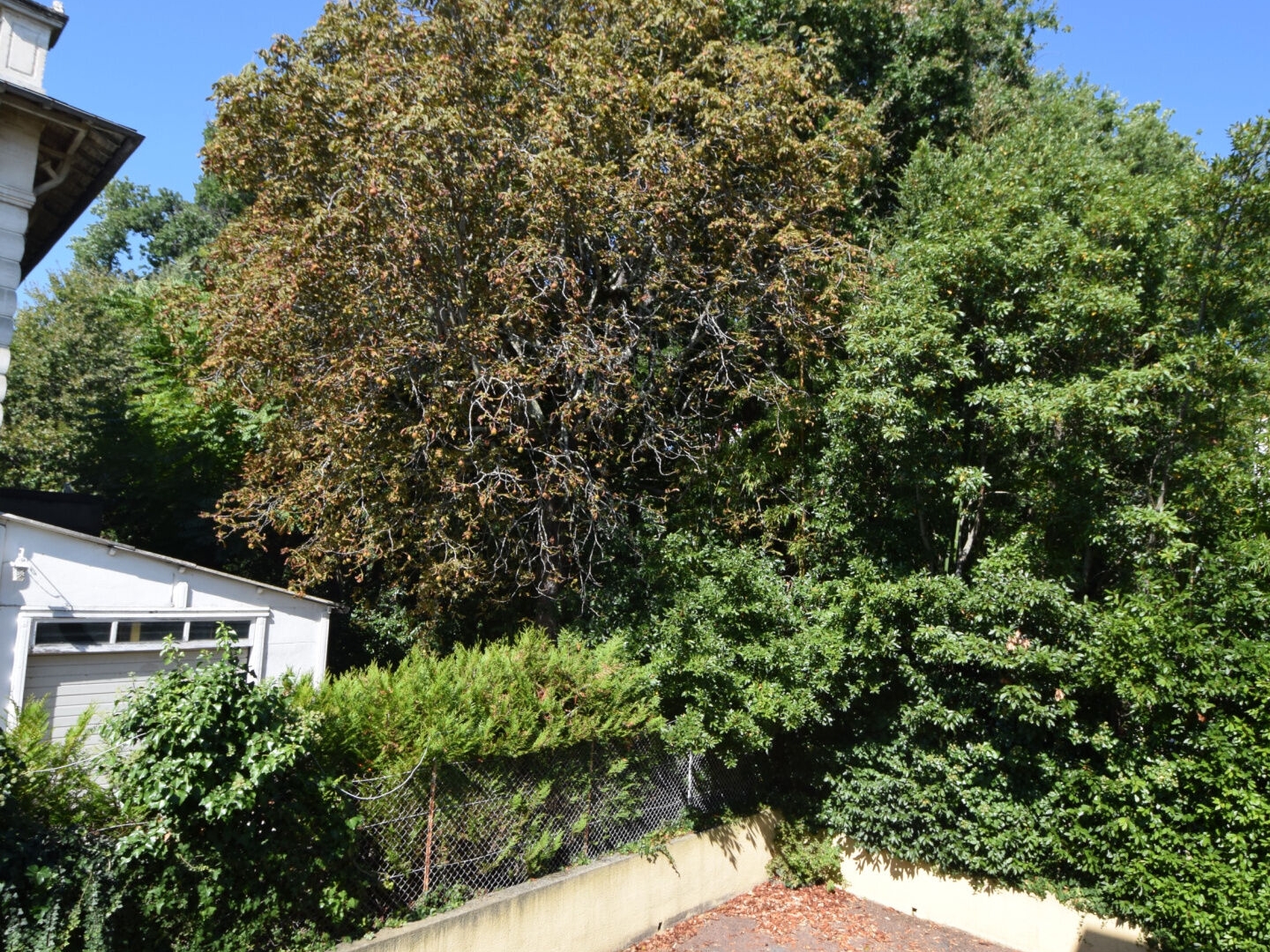 Appartement à vendre - 1 pièce - 20m2 - Royan (17200)