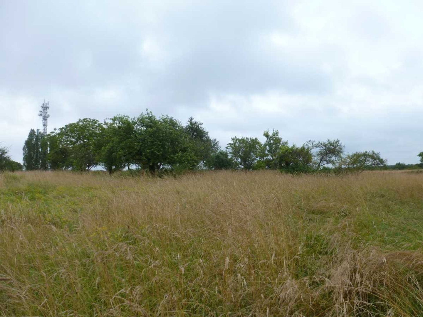 Terrain 793 m²