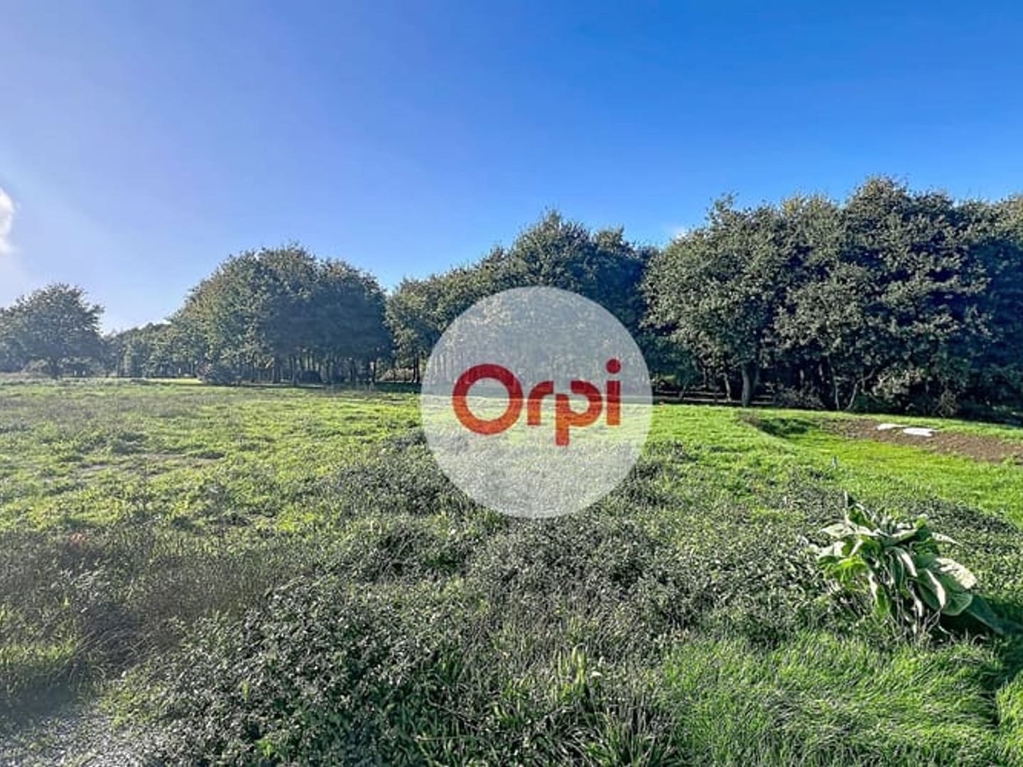 Terrain 376 m²