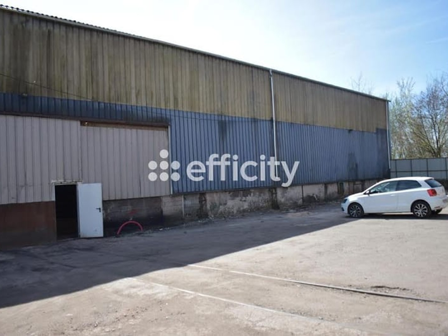 Local 800 m²