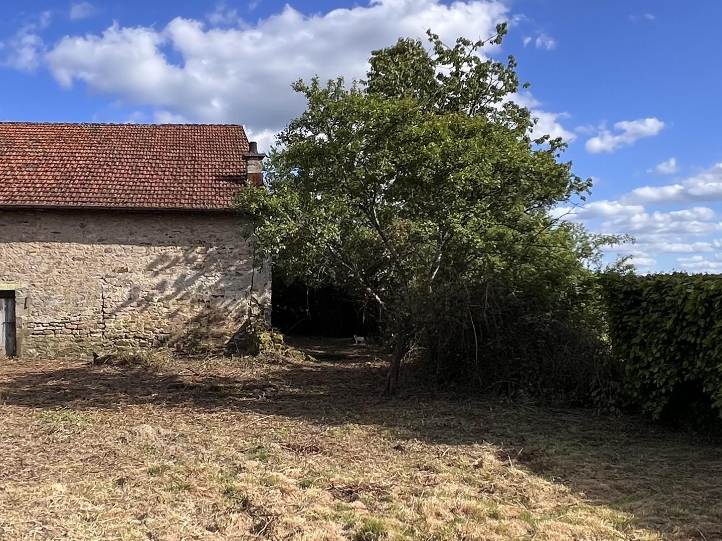 Maison à vendre - 100m2 - Girancourt (88390)