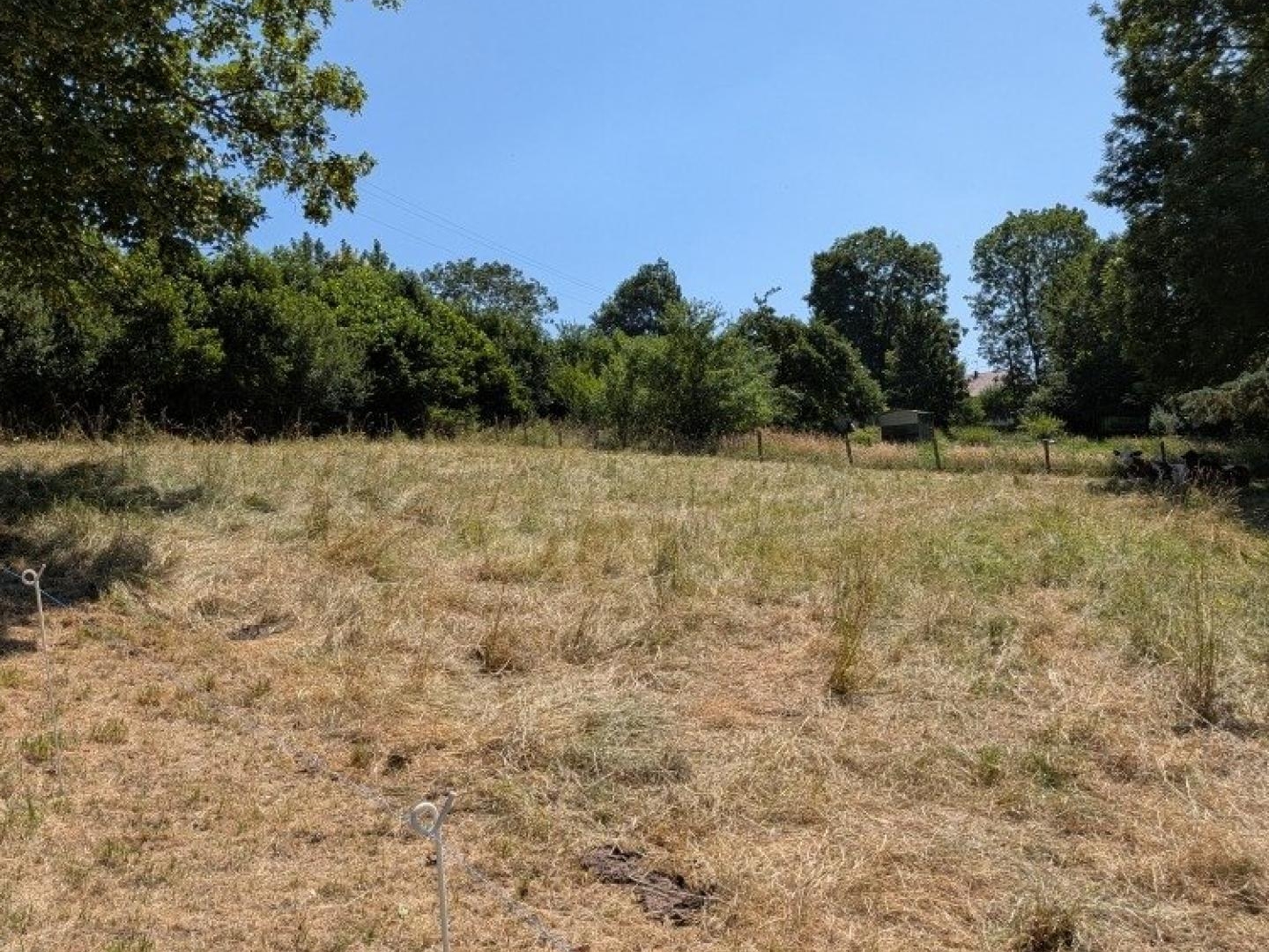 terrain constructible de 1393 m2 à CERNANS à 5 min de SALINS LES BAINS ( JURA)