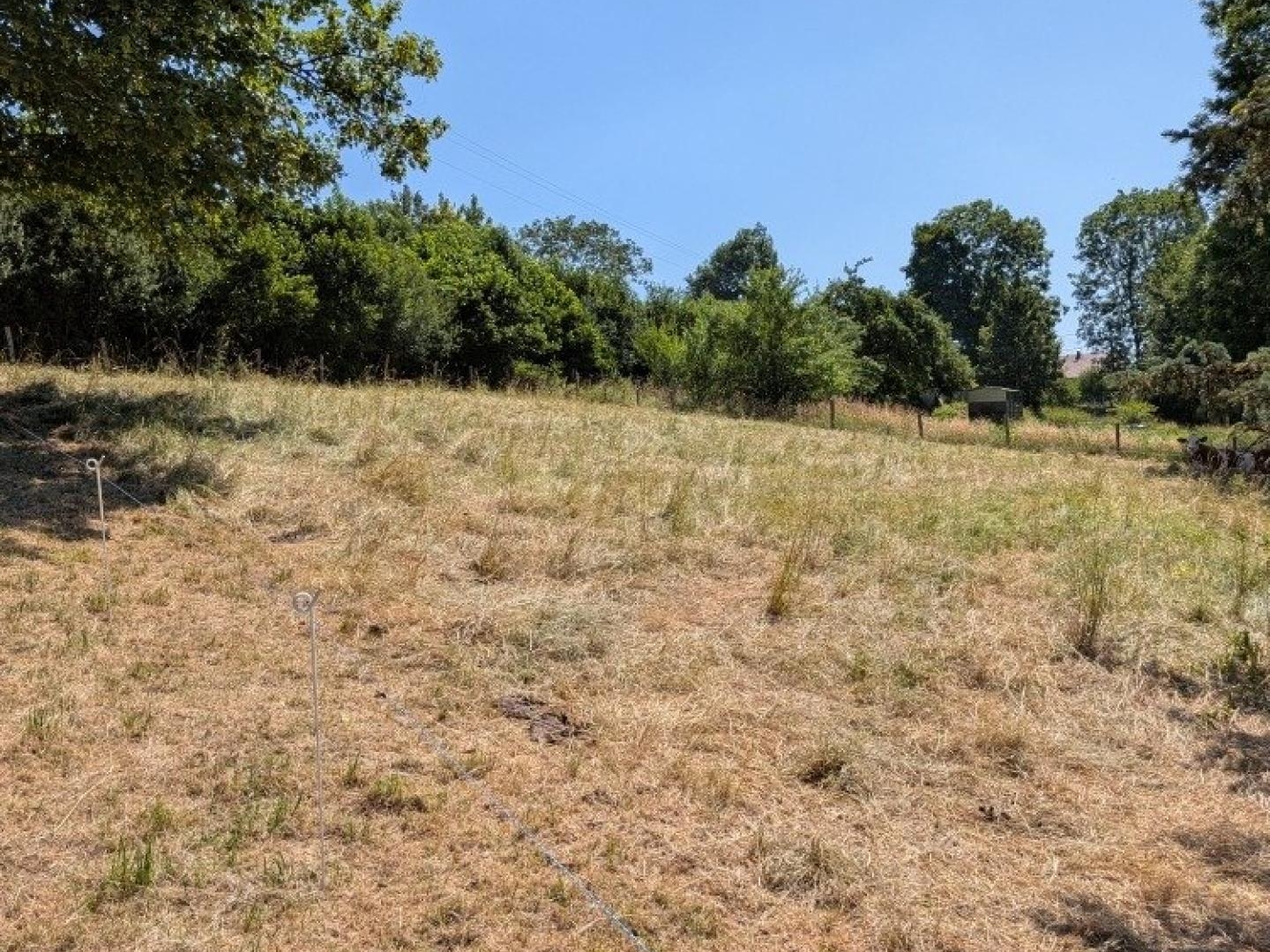 Terrain à vendre - 1393m2 - Cernans (39110)
