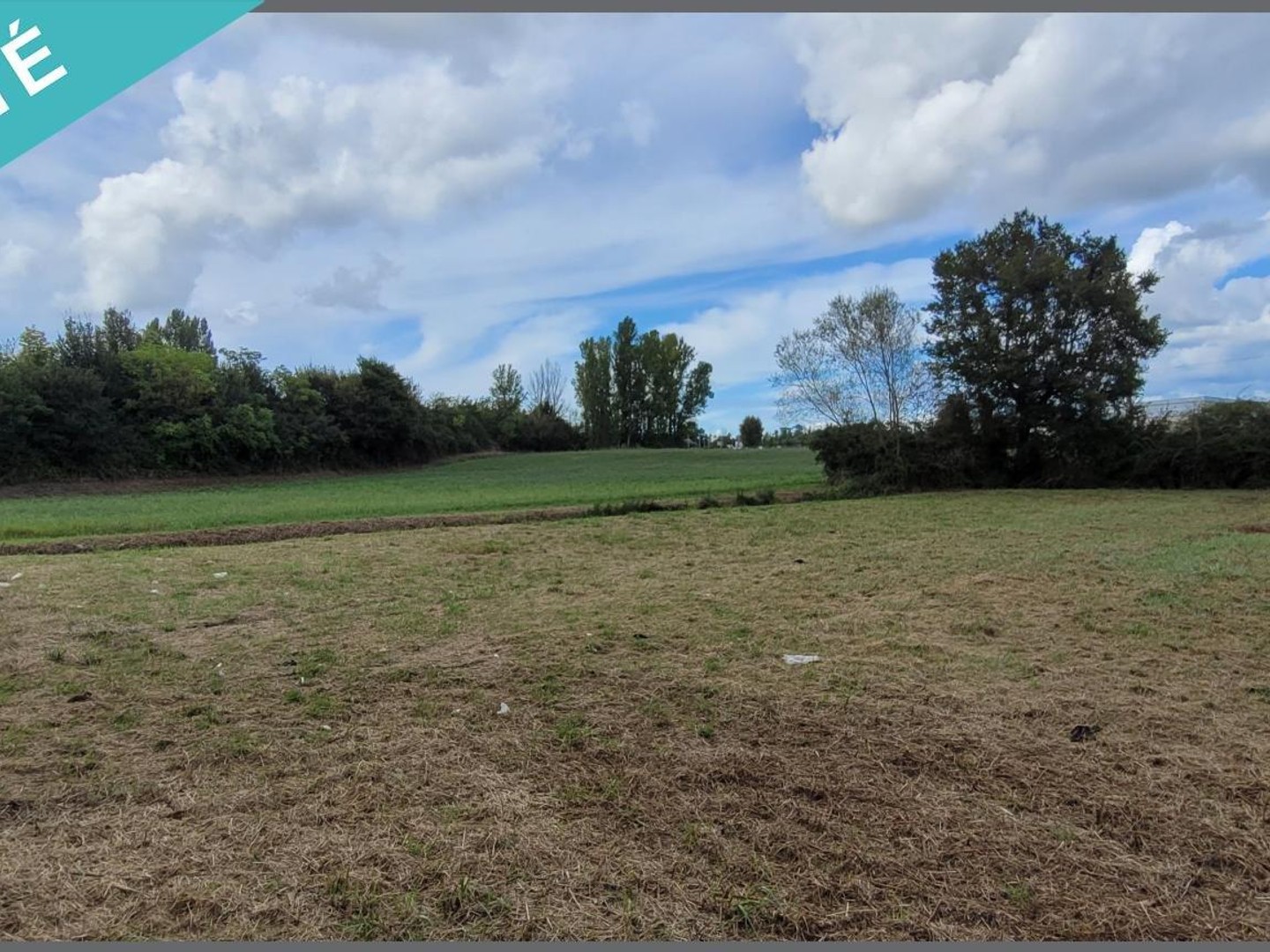 terrain agricole
