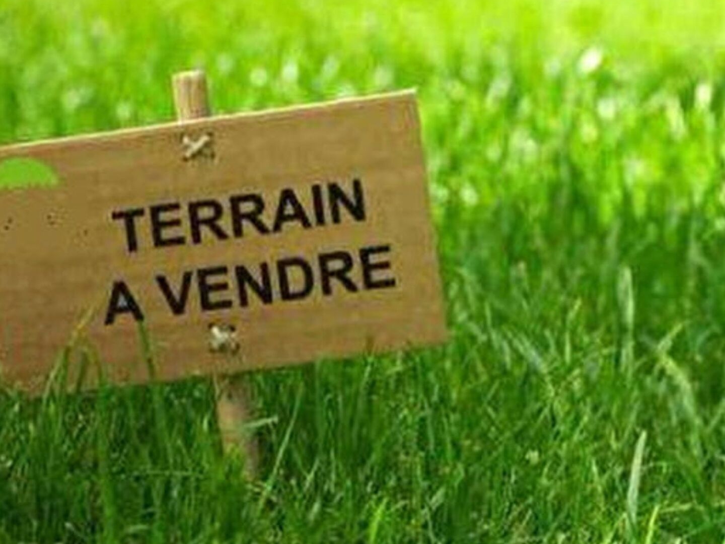 Terrain 2261 m²
