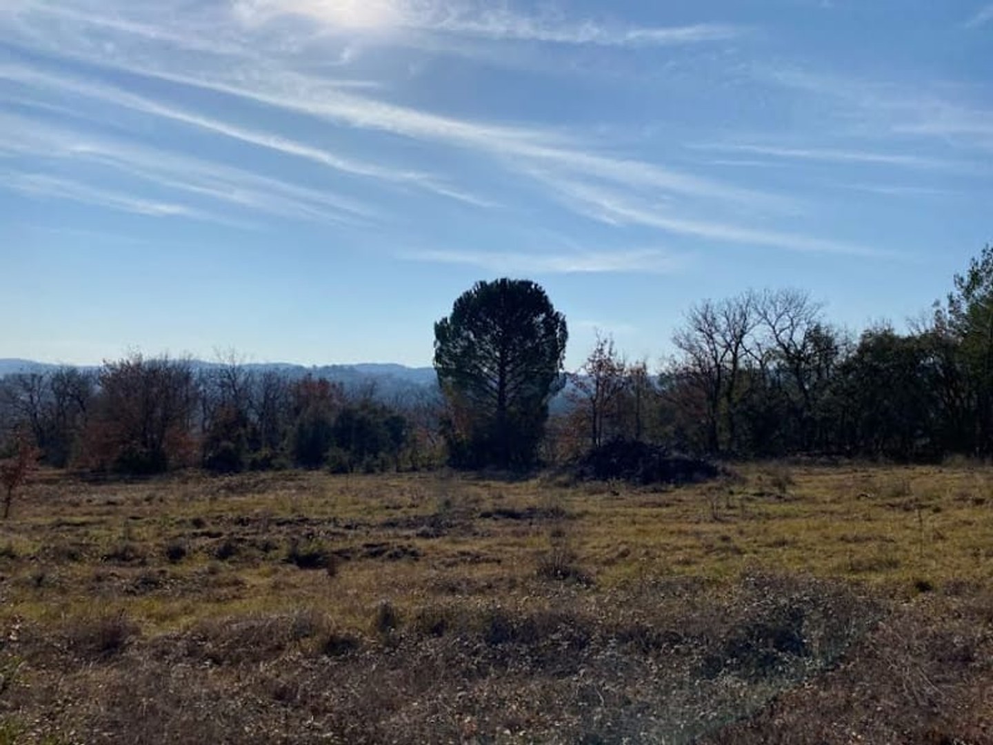 Terrain 1519 m²