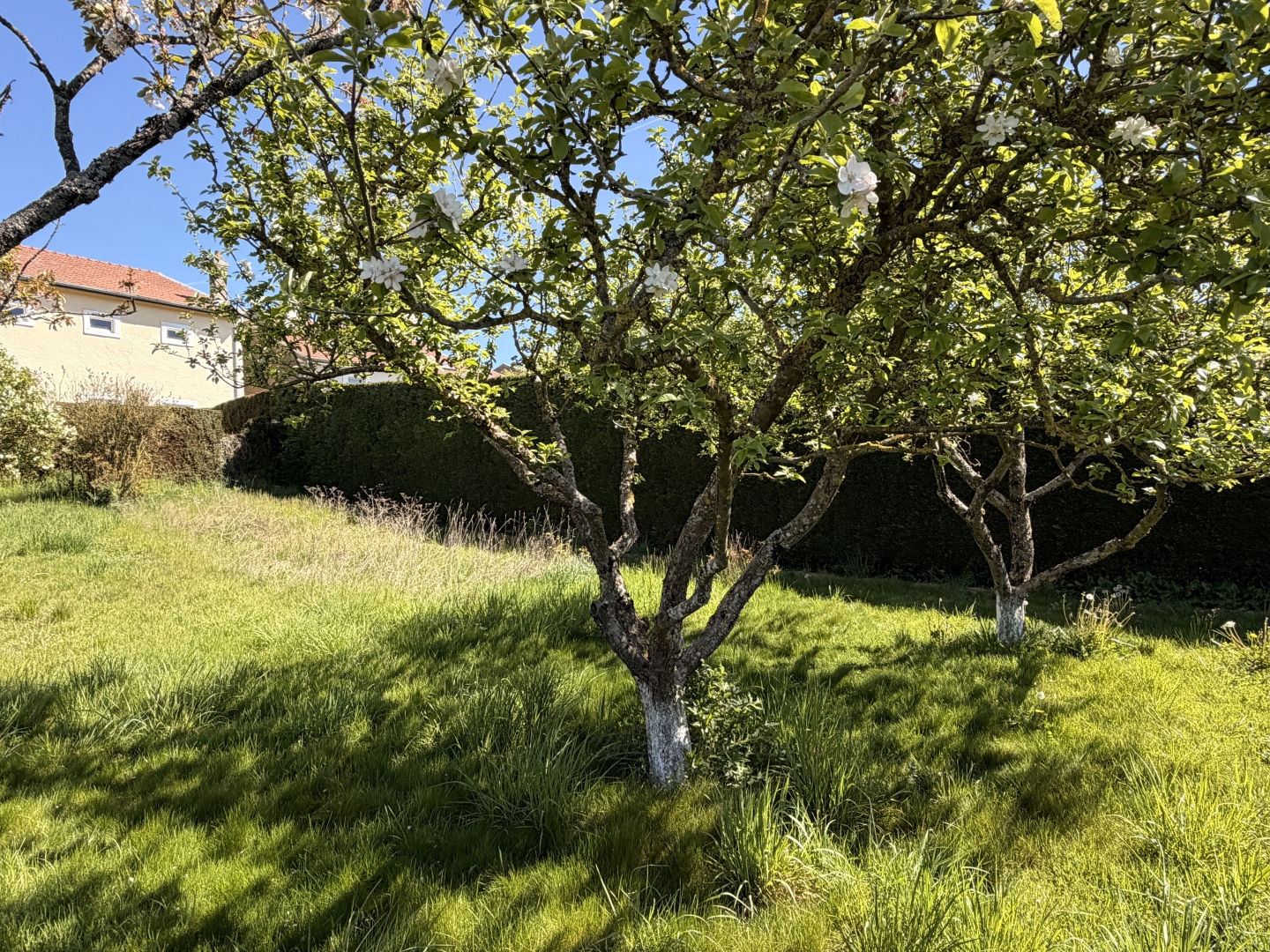 Maison à vendre - 6 pièces - 170m2 - Chambley-Bussières (54890)