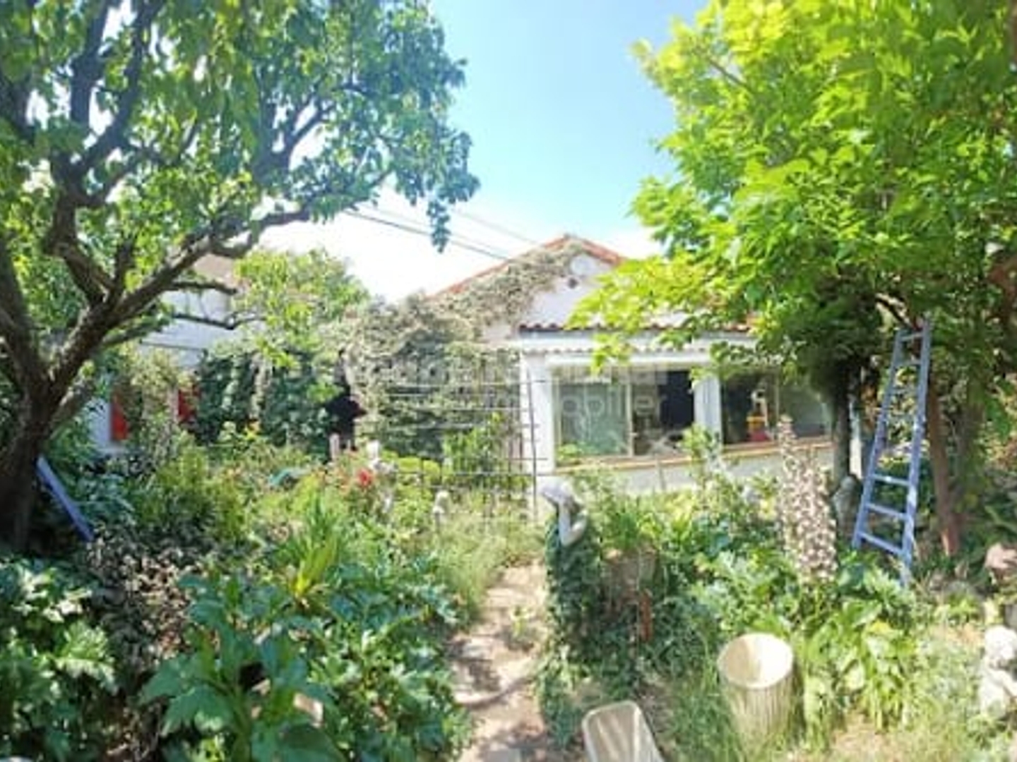 Viager 4 pièces 120 m²