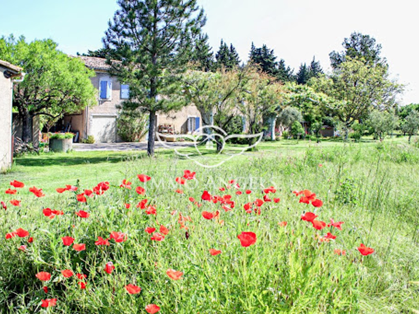 Maison à vendre - 18 pièces - 360m2 - L'isle-Sur-La-Sorgue (84800)