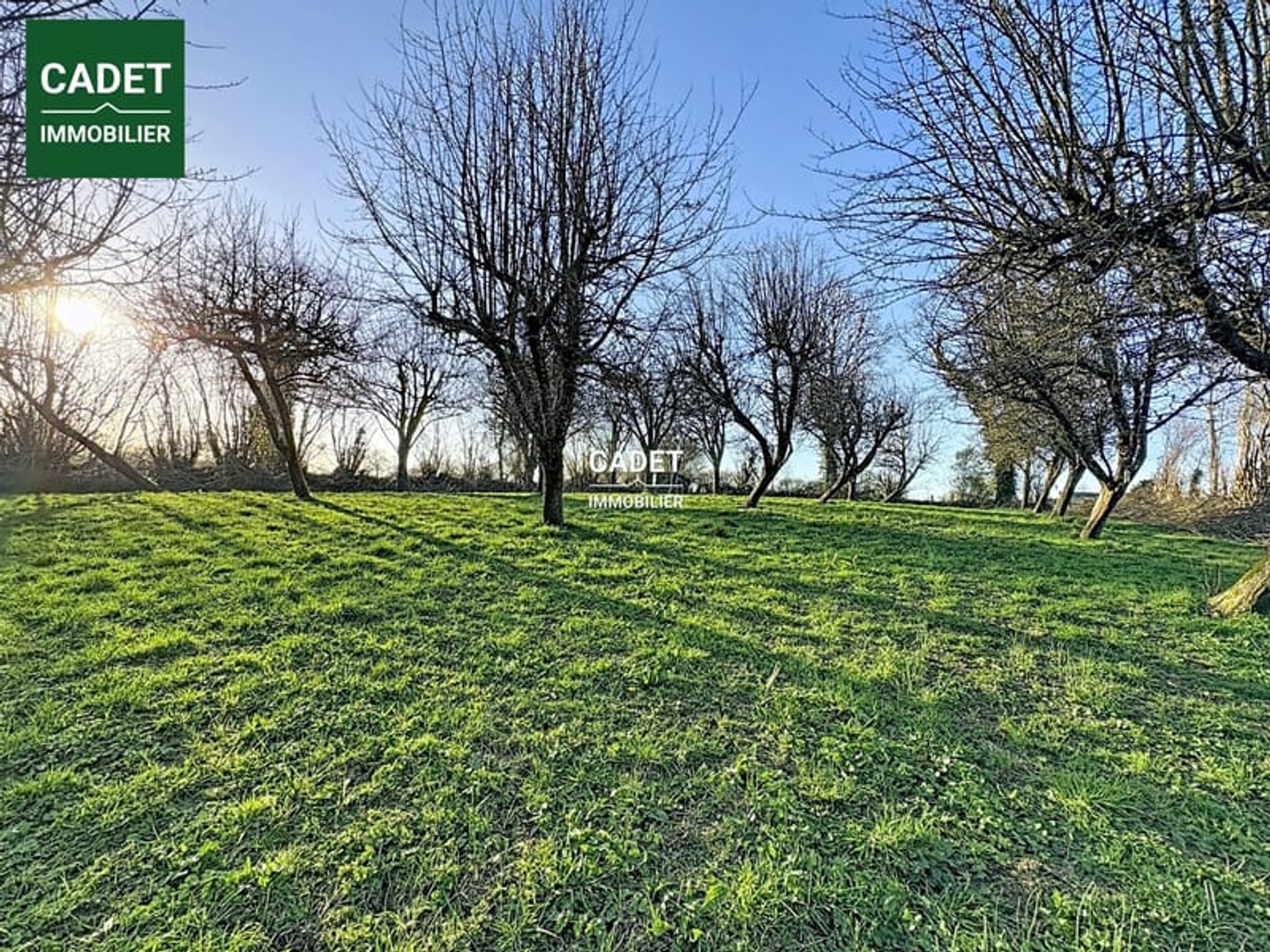 Terrain 2160 m²
