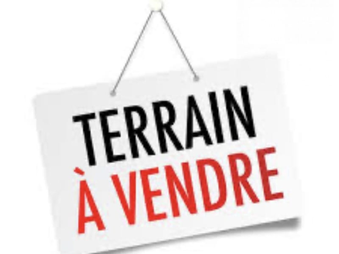 Terrain