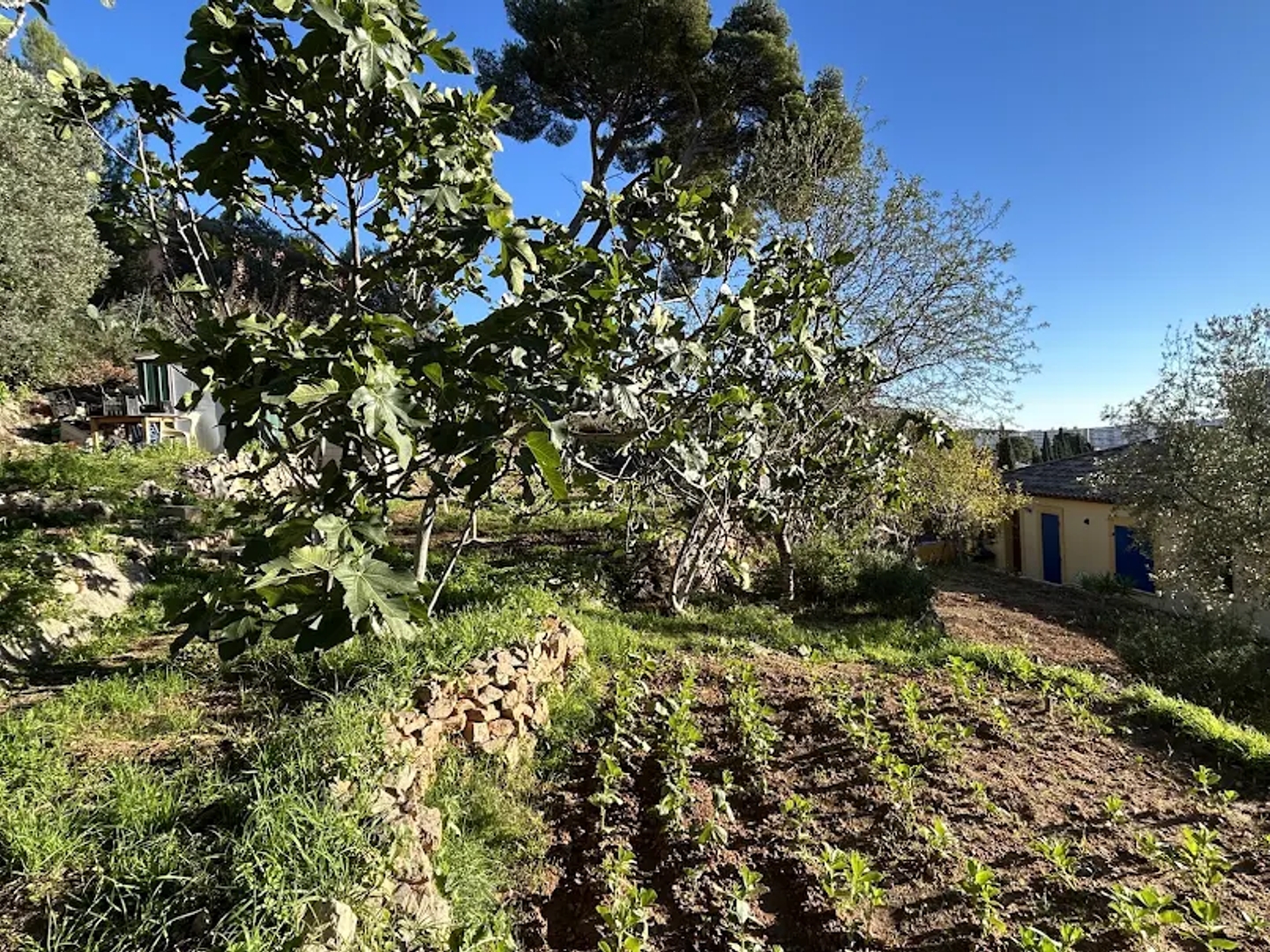 Maison à vendre - 8 pièces - 260m2 - Toulon (83200)
