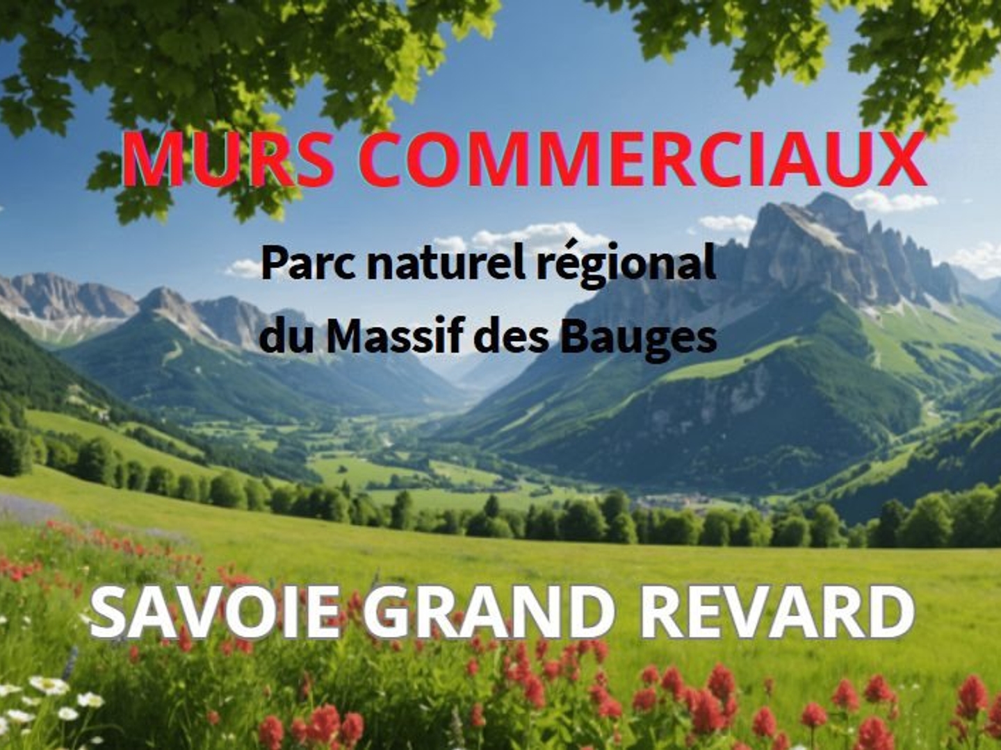 Immobilier Professionnel à vendre la feclaz