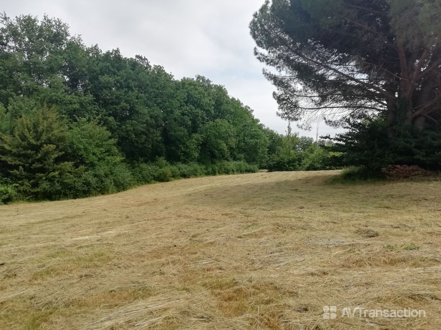 Terrain en individuel 898 m²
