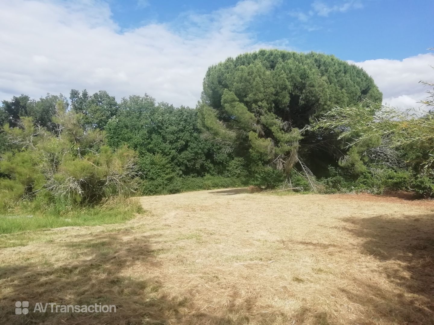 Terrain à vendre - 898m2 - Verfeil (31590)