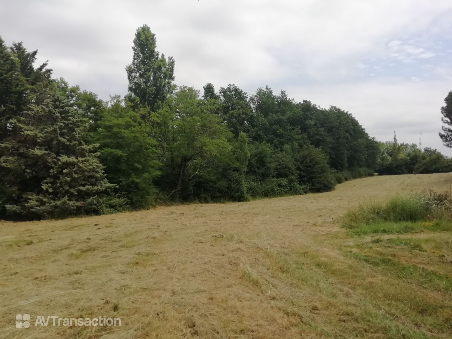 Terrain à vendre - 898m2 - Verfeil (31590)