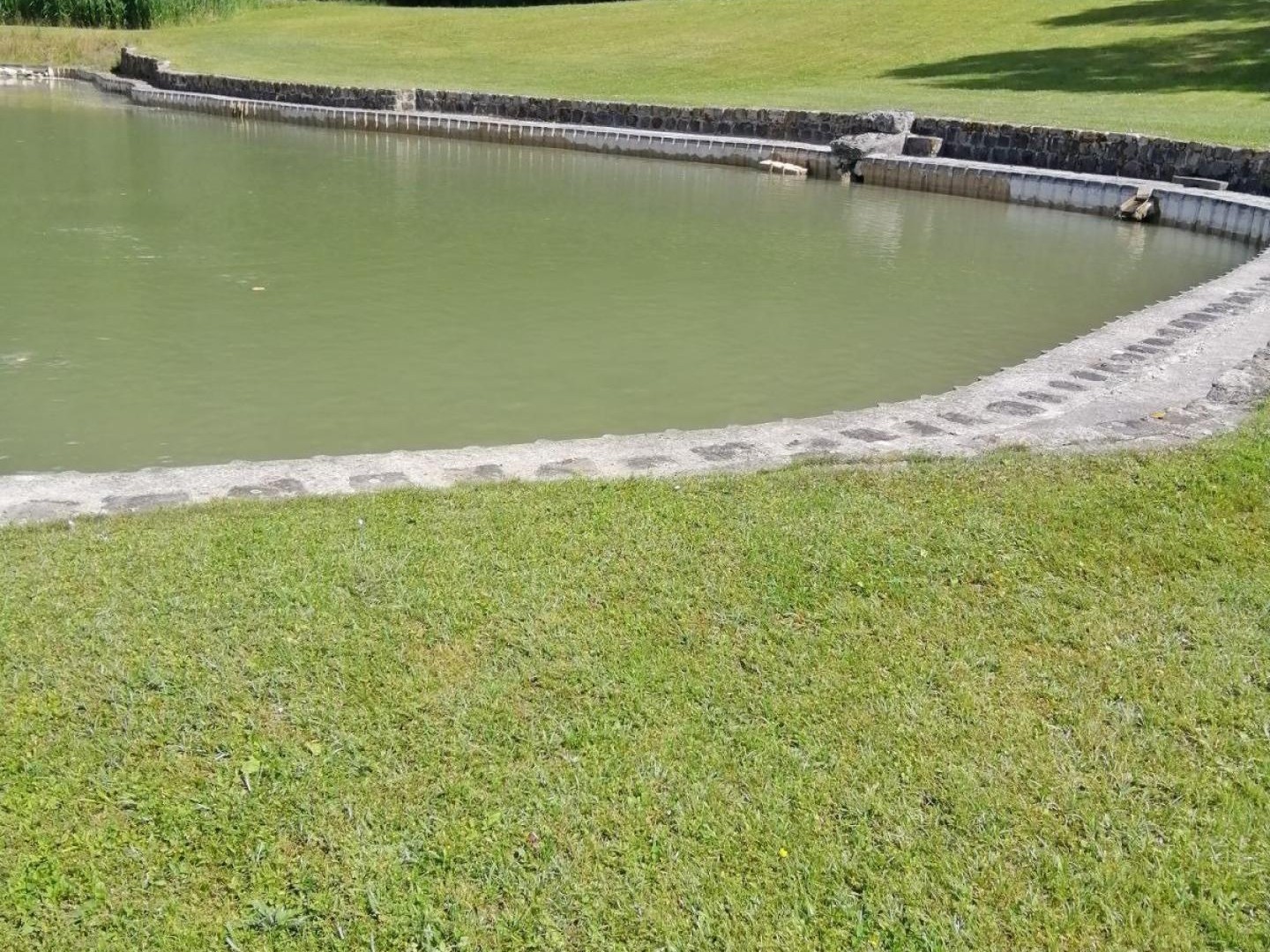 Bel étang / Idéal autoentrepreneur paysagiste / cheval