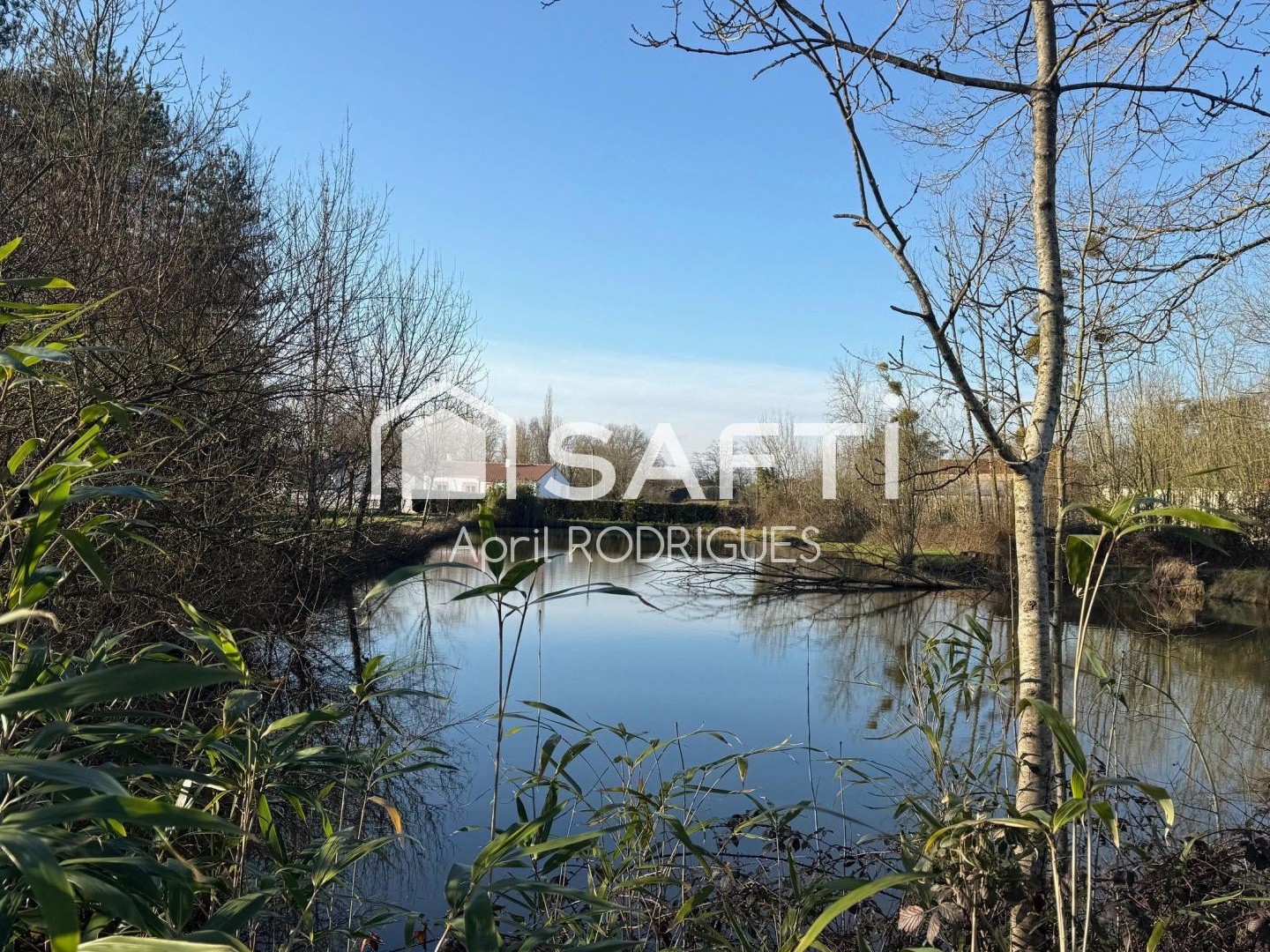 Terrain de loisirs avec étang