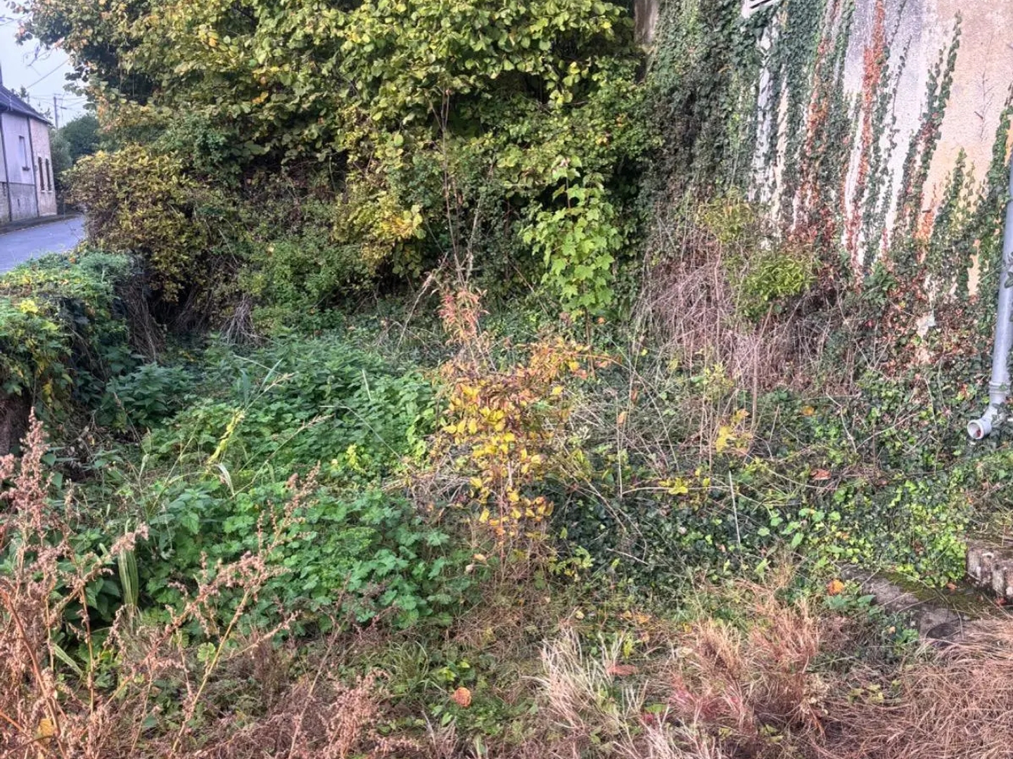 Maison à vendre - 3 pièces - 100m2 - Crissé (72140)