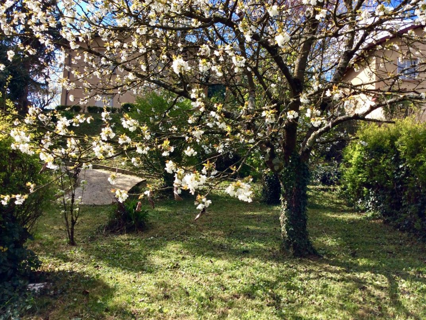 Maison à vendre - 6 pièces - 250m2 - Rillieux-La-Pape (69140)