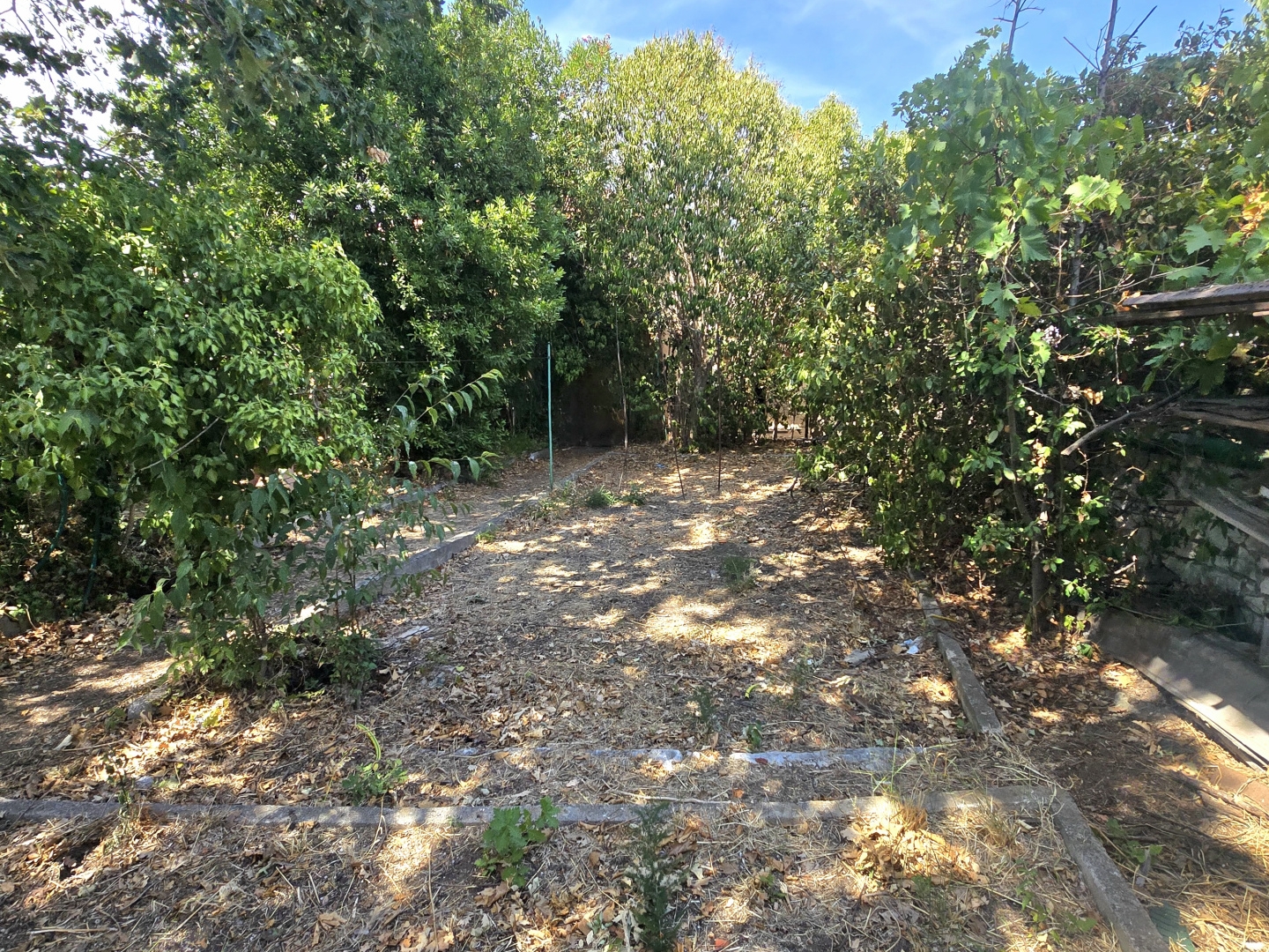 2 maisons 50m2 et 20m2 parcelle 395m2