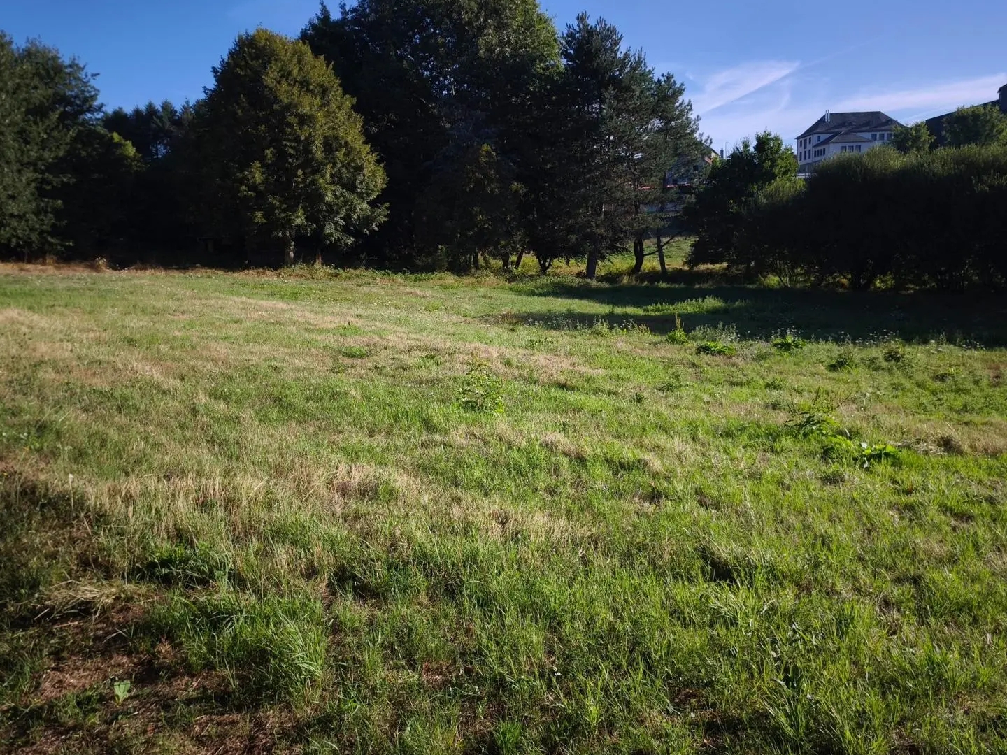 Terrain à vendre - 1846m2 - Le Rouget-Pers (15290)