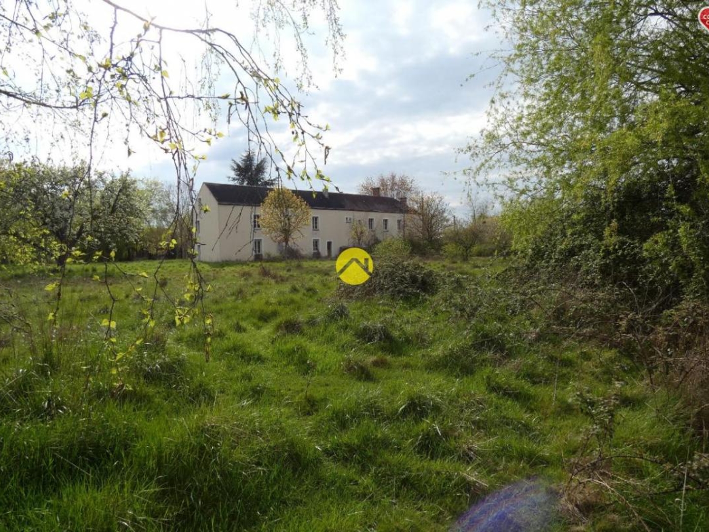 Terrain à vendre - 250000m2 - Coullons (45720)