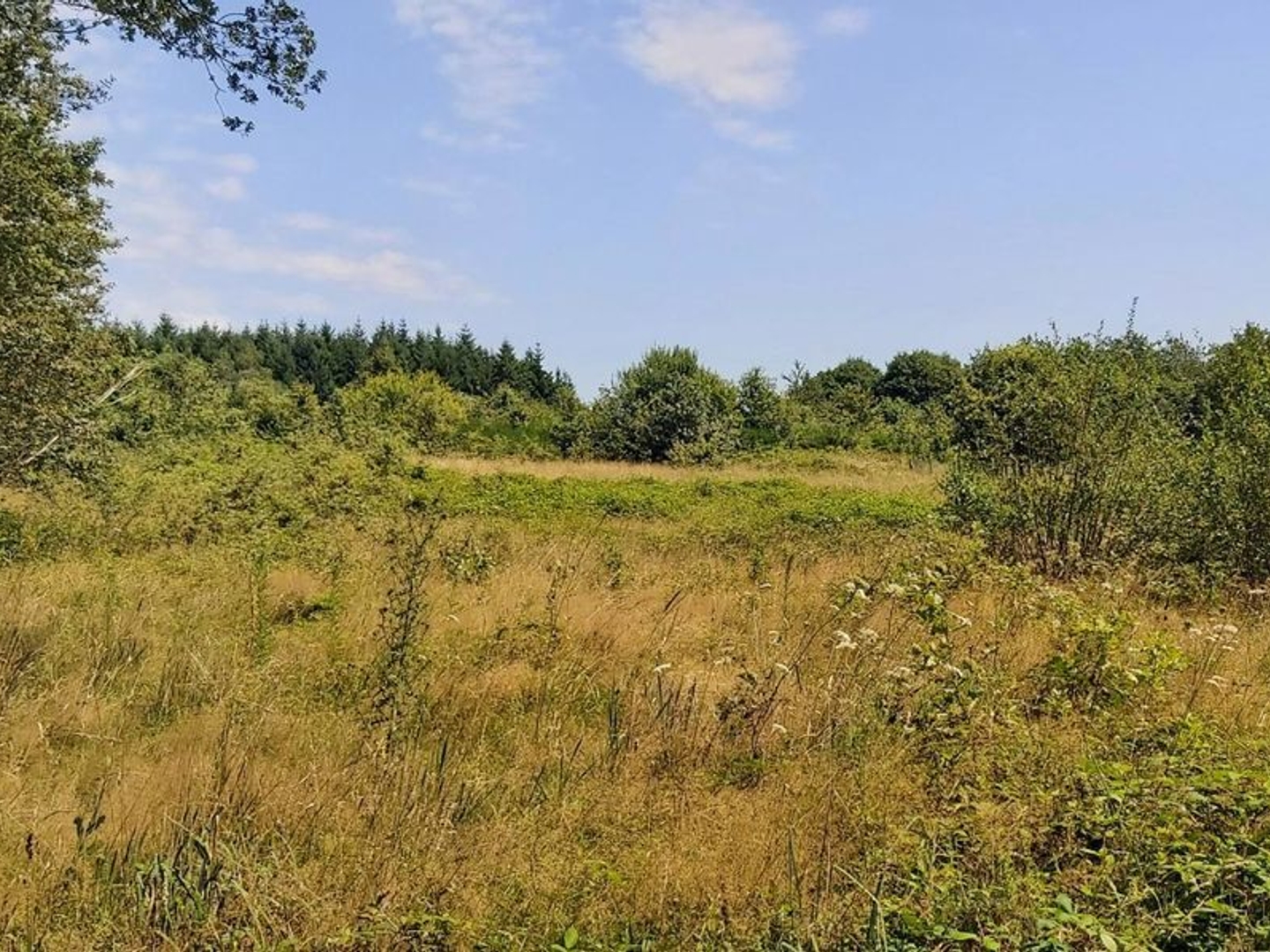 Terrain à bâtir proche Nontron