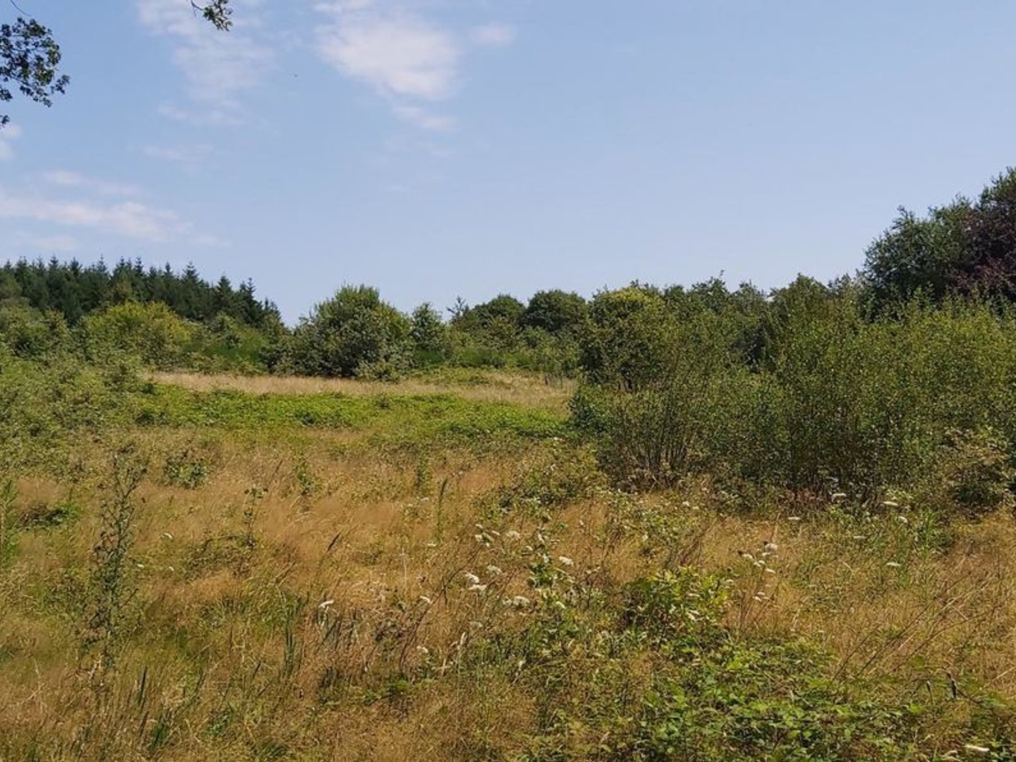 Terrain à vendre - 3955m2 - Saint-Martin-Le-Pin (24300)