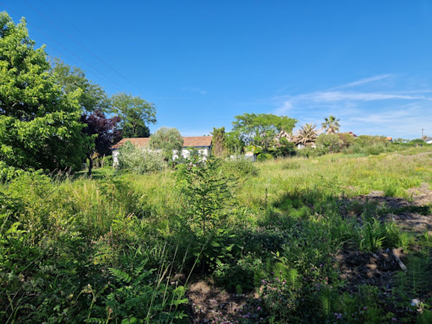 Terrain à vendre - 673m2 - Bidart (64210)