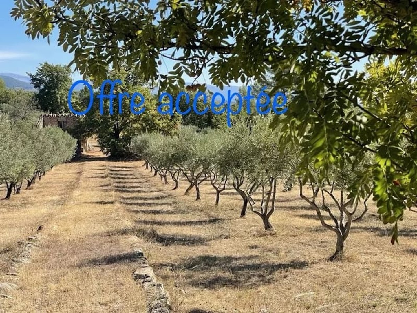Propriété