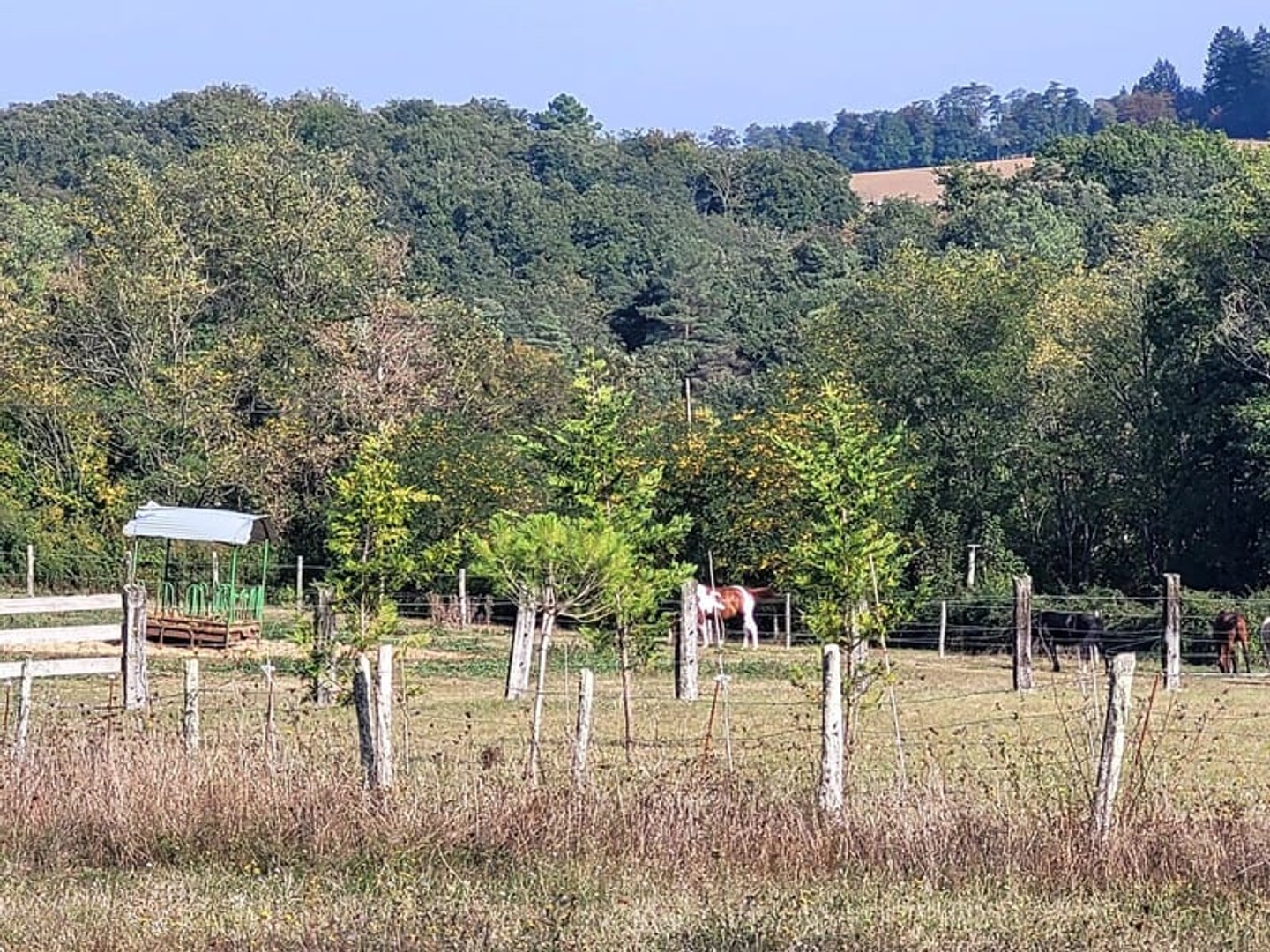 Terrain de loisir
