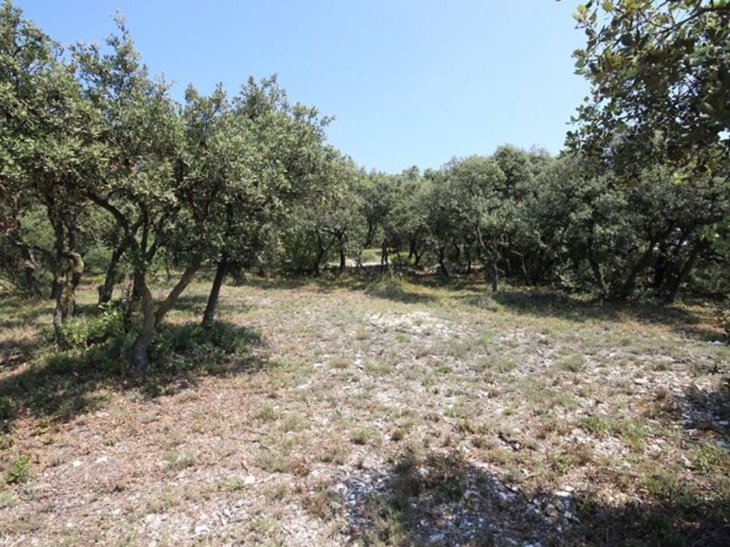 Terrain à vendre - 4600m2 - Cavaillon (84300)