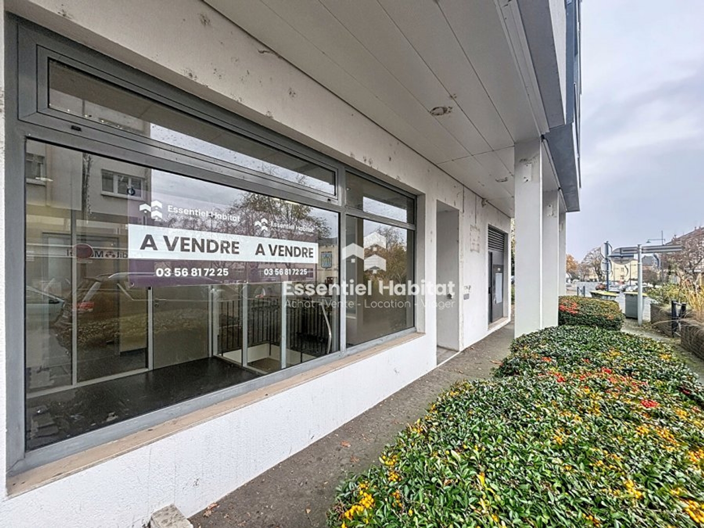 Commerce 6 pièces 125 m²