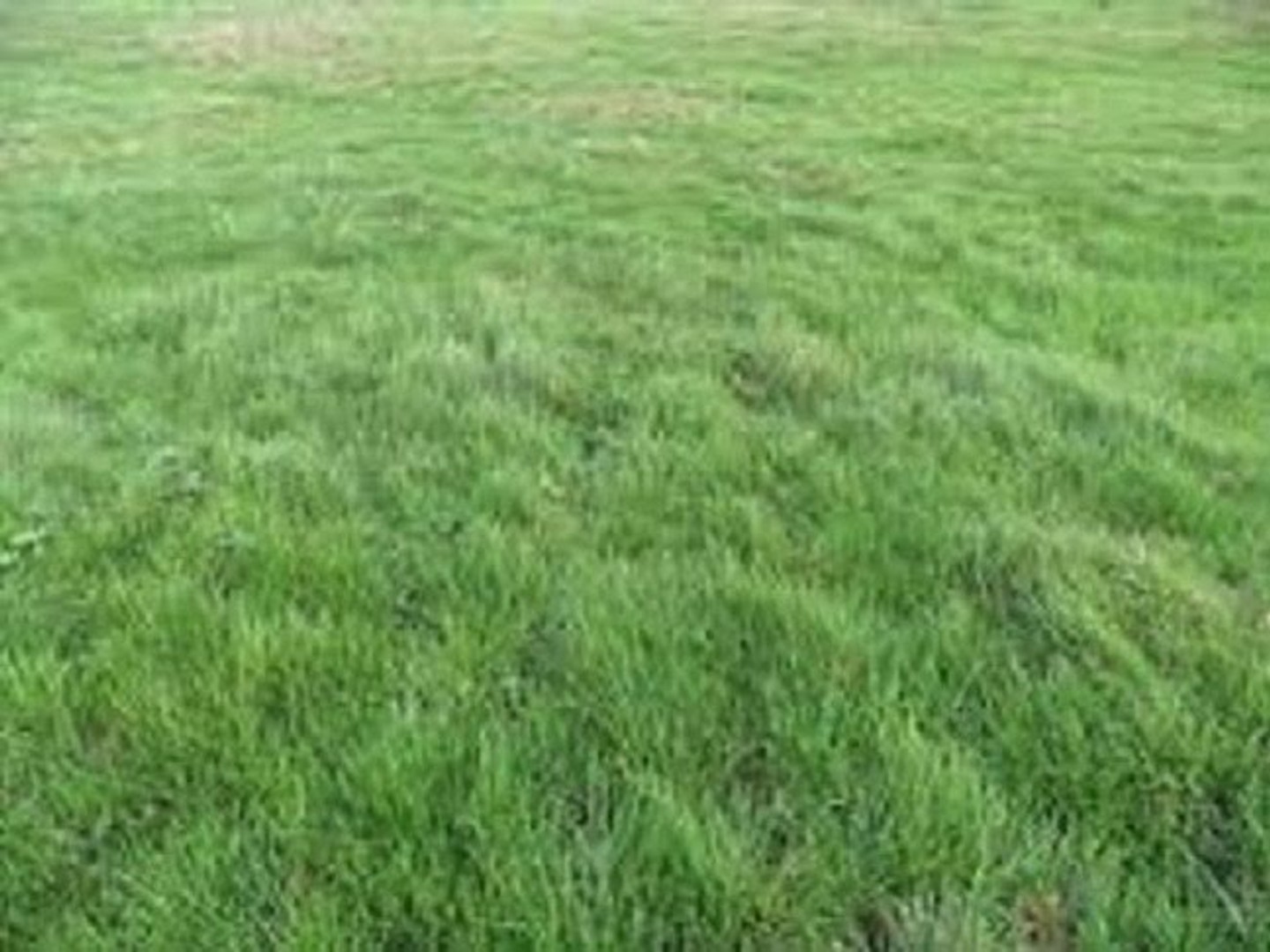 Terrain 260 m²
