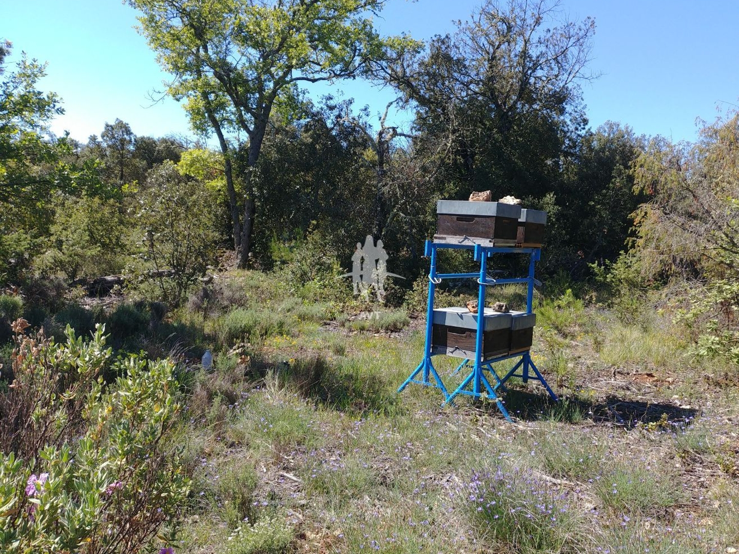 Terrain à vendre - 31060m2 - Aups (83630)