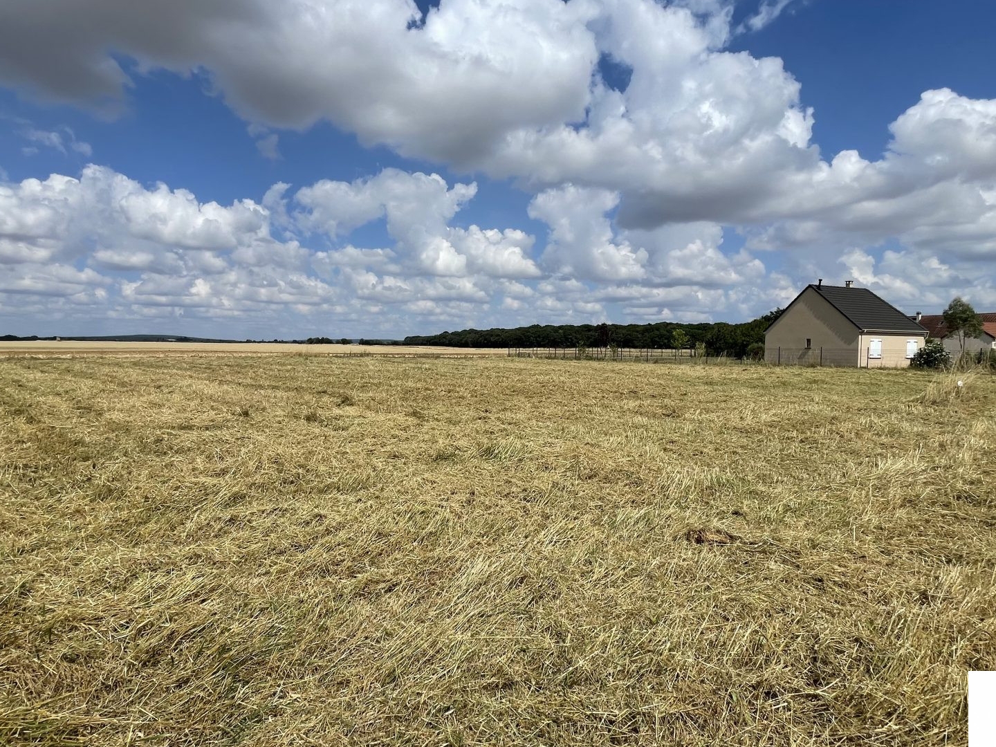 Terrain à vendre - 985m2 - Farges-En-Septaine (18800)