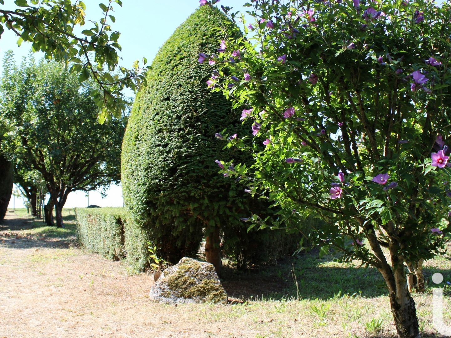 Terrain 1933 m²