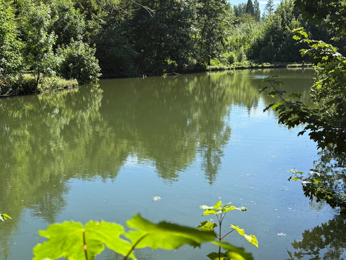 Terrain 11034 m²