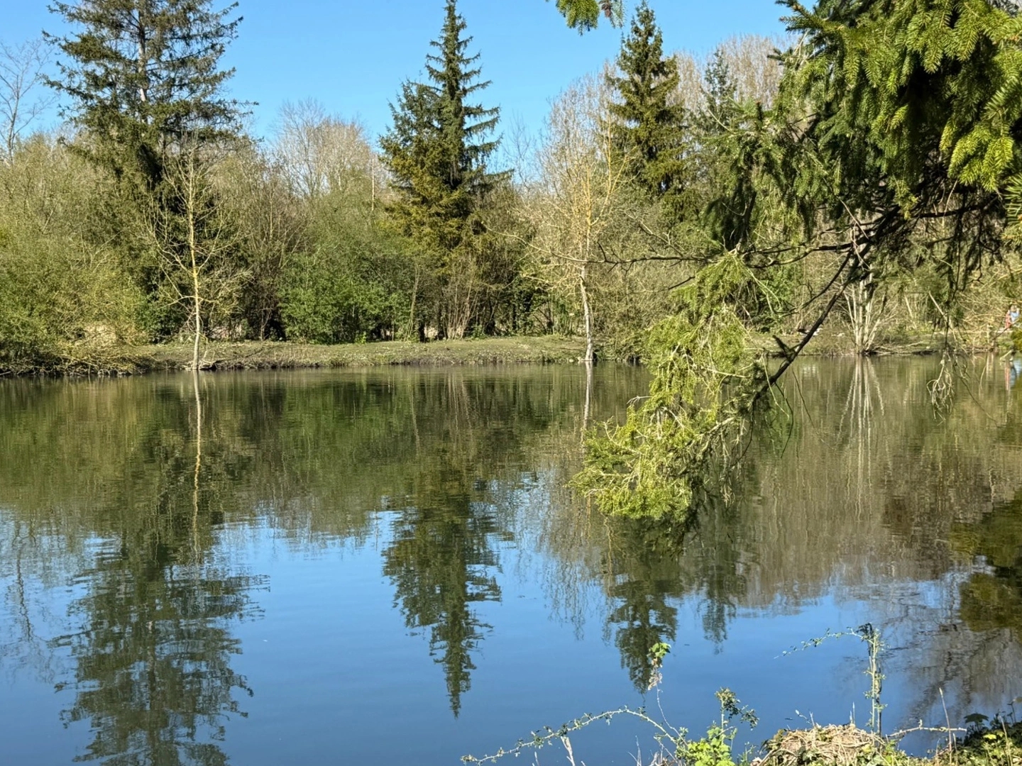 Terrain à vendre - 11034m2 - Breuil-Le-Sec (60840)