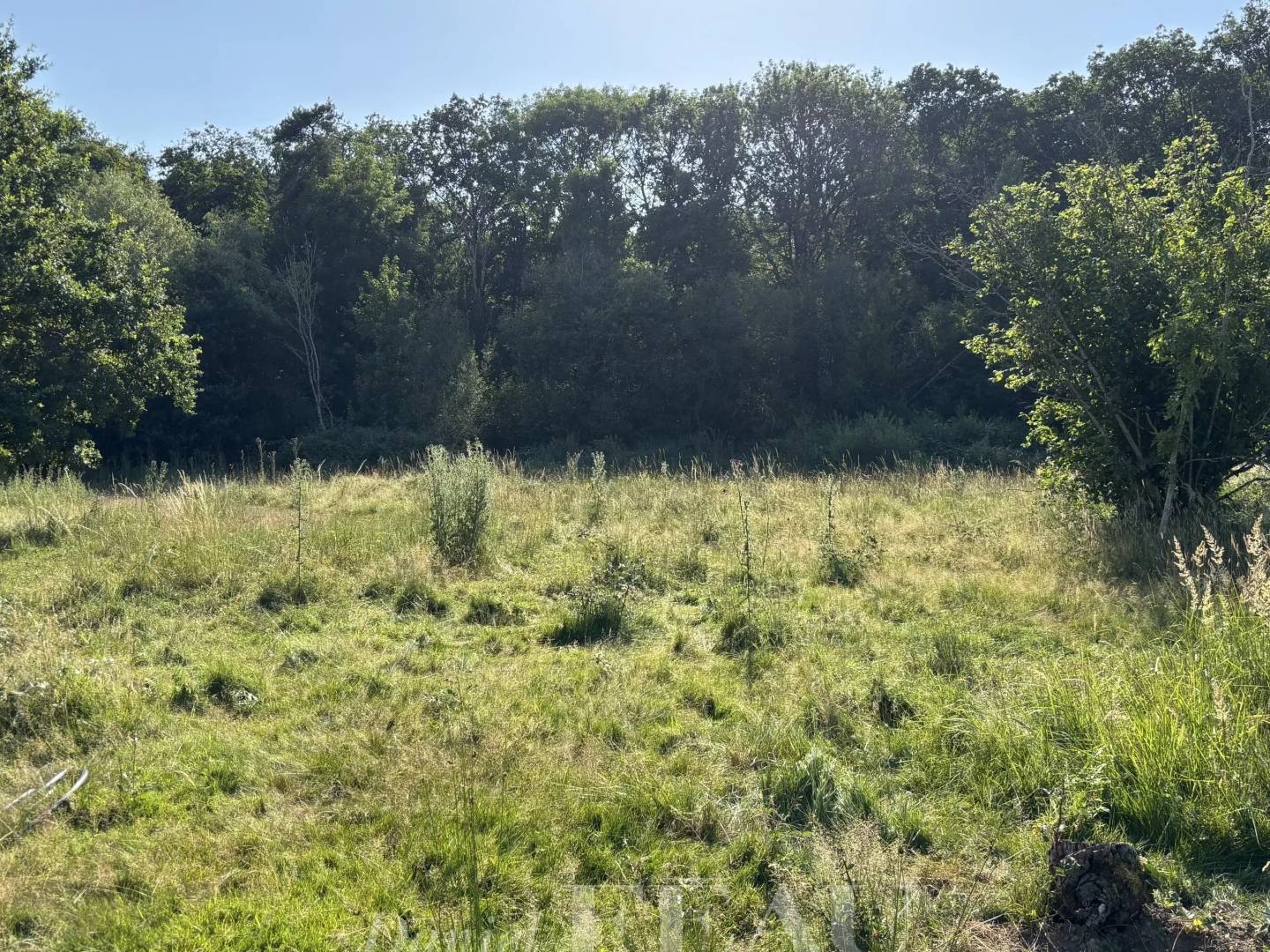 Terrain à vendre - 5000m2 - Vieille-Église-En... (78125)
