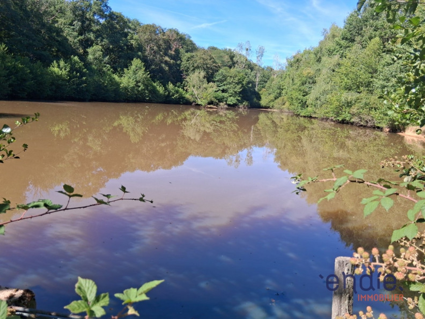 Terrain à vendre - 10900m2 - Vesdun (18360)