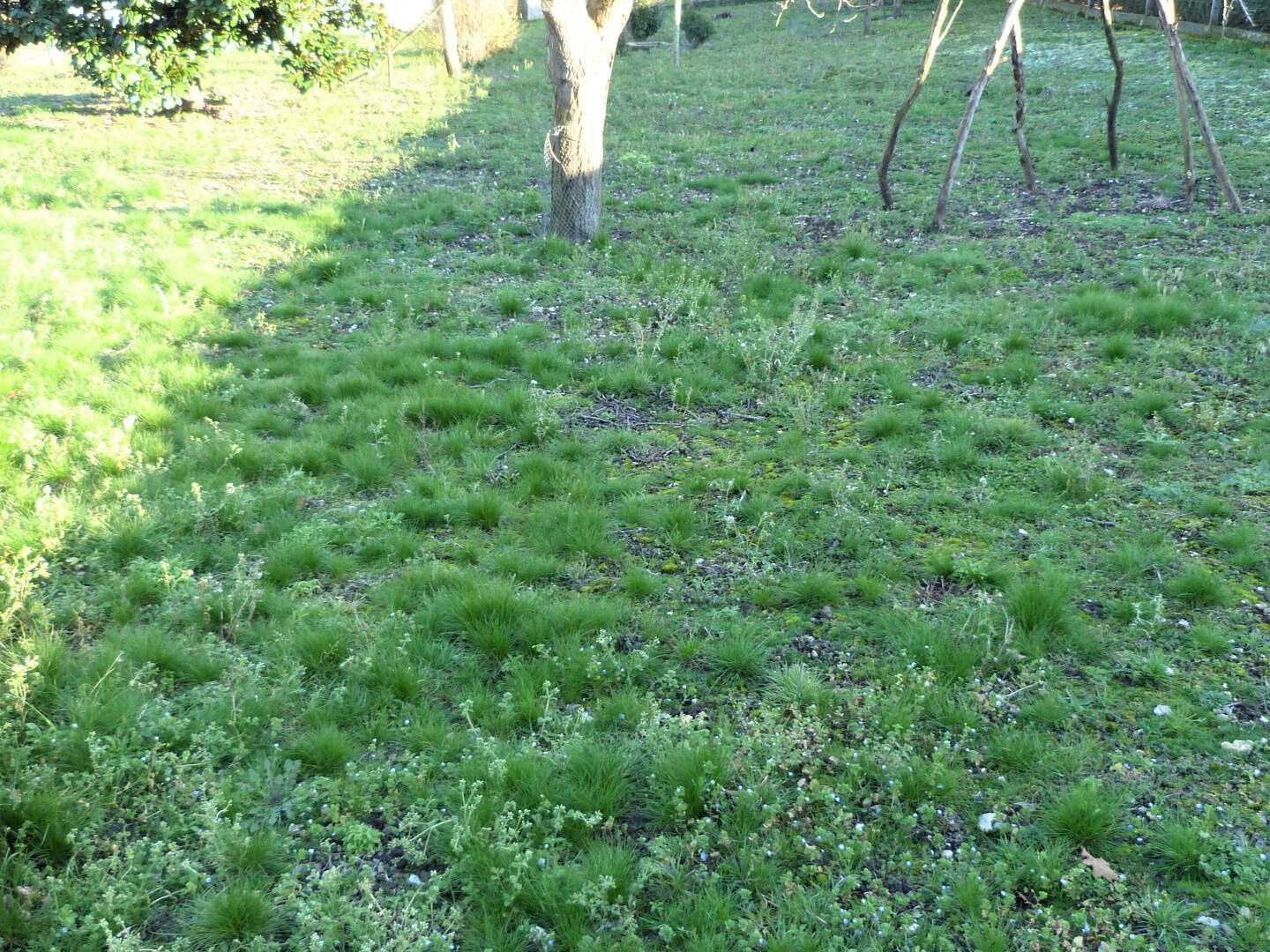 Terrain en individuel 730 m²