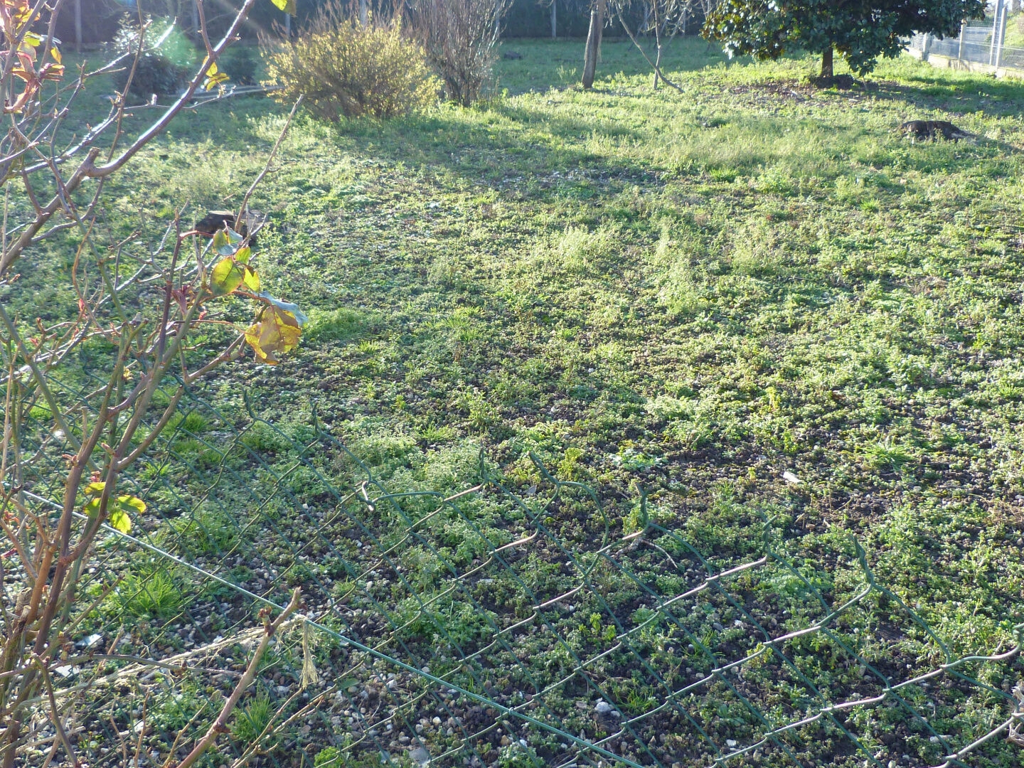 Terrain à vendre - 730m2 - Jumièges (76480)