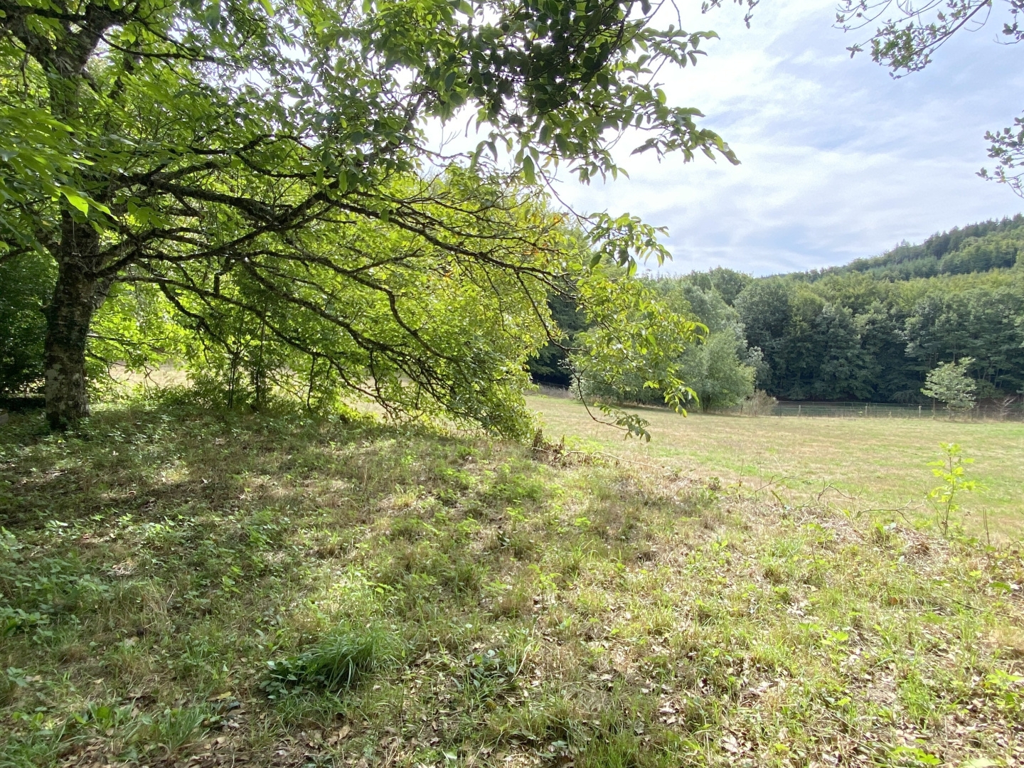 Maison à vendre - 3 pièces - 50m2 - La Salvetat-Sur-A... (34330)