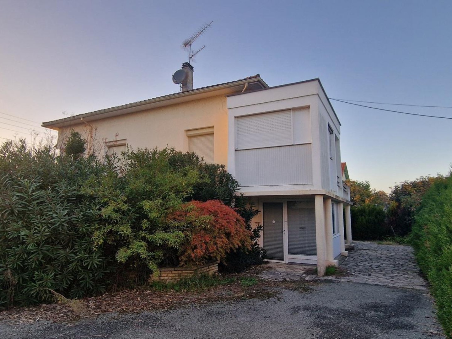 Maison