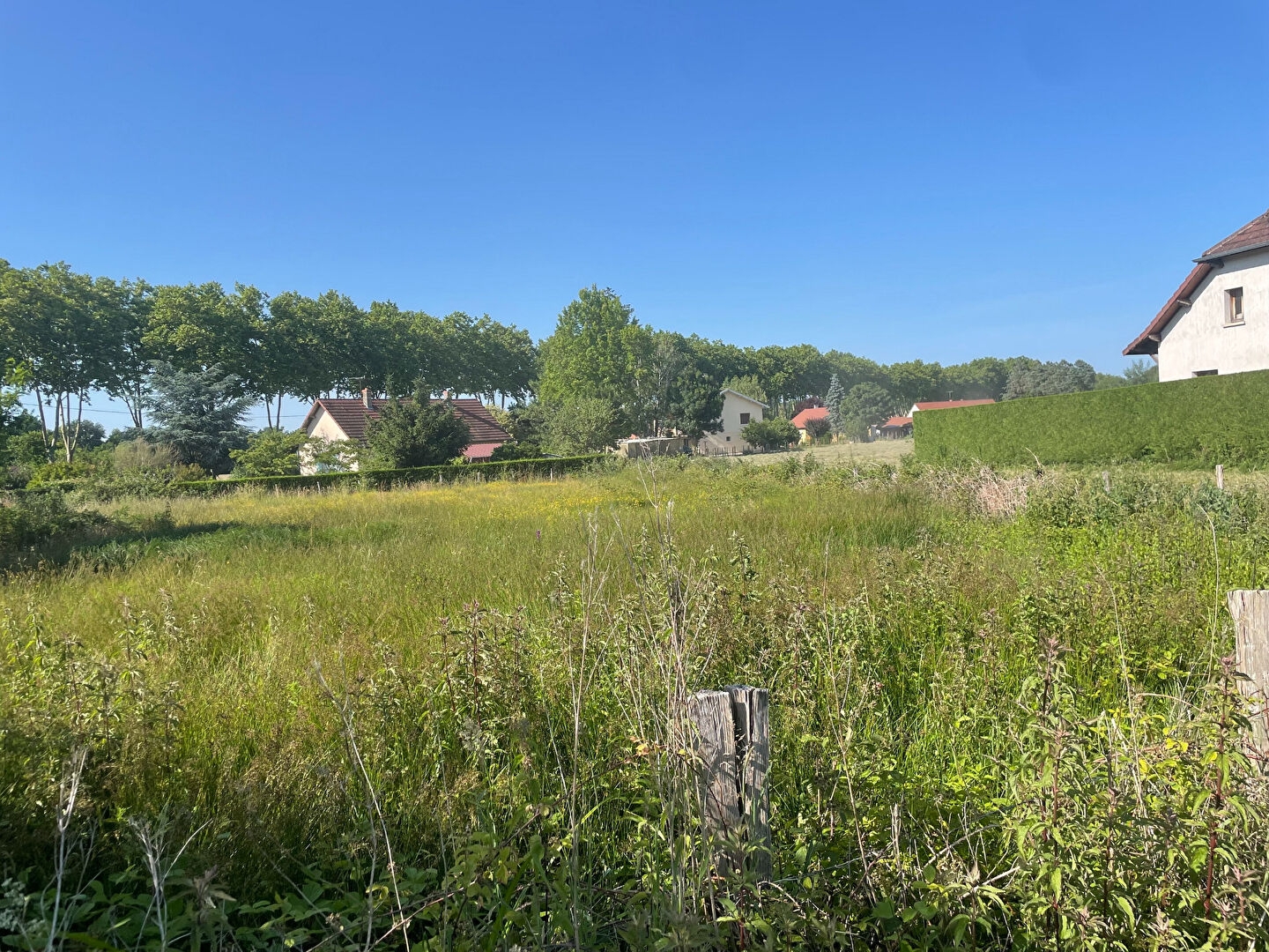 Terrain 1134 m²