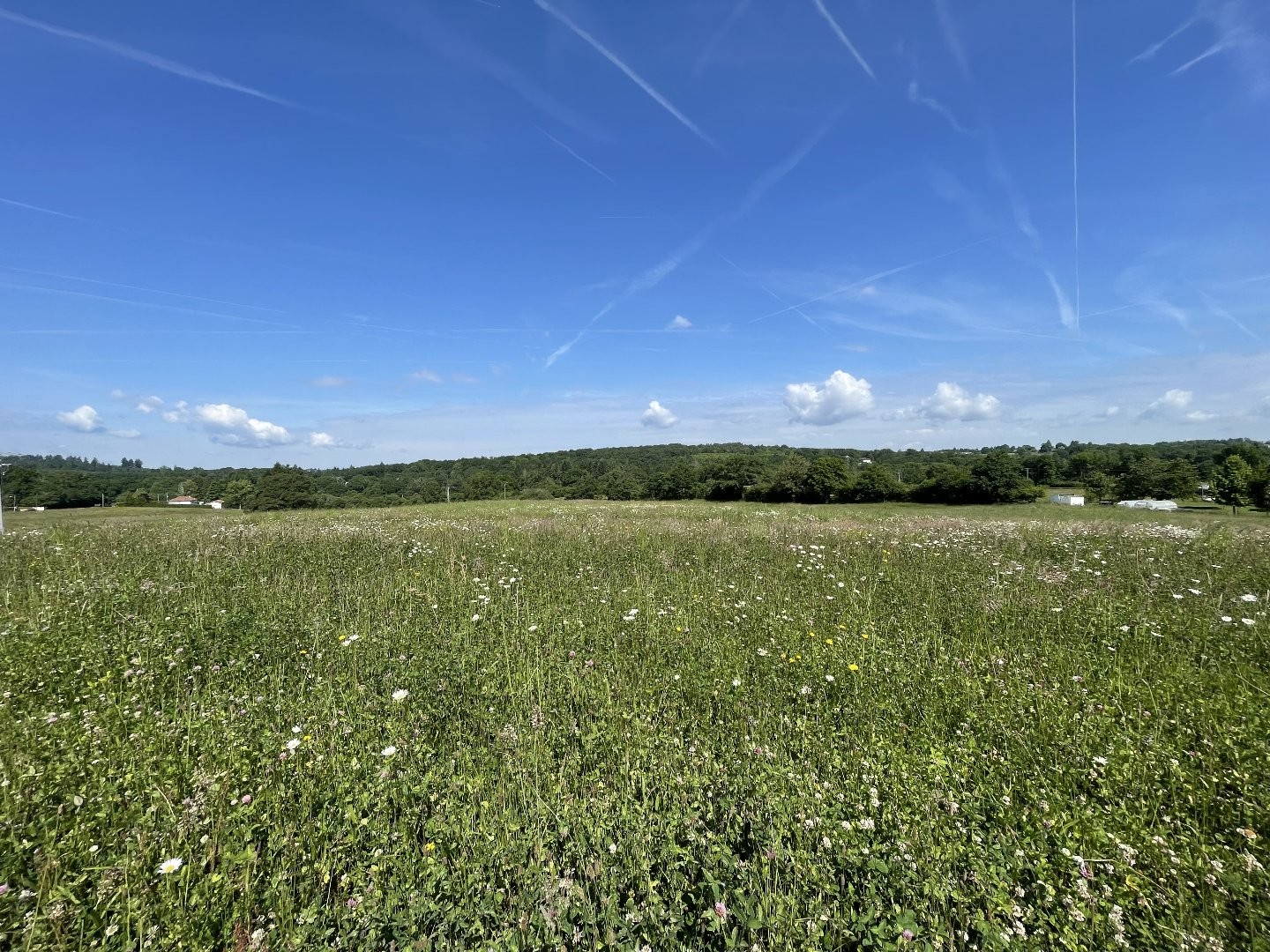 Terrain constructible